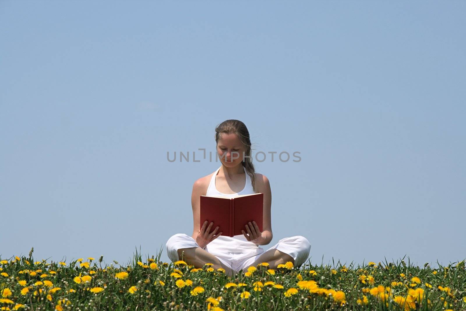Young woman relaxing and reading a book in a flowering dandelion field.