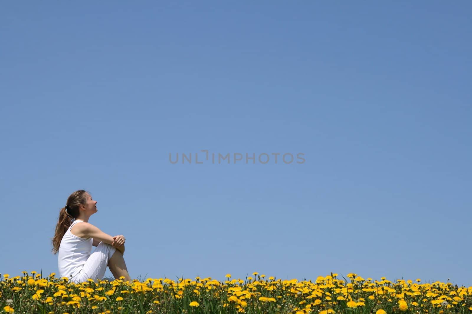 Girl sitting in dandelion field by anikasalsera