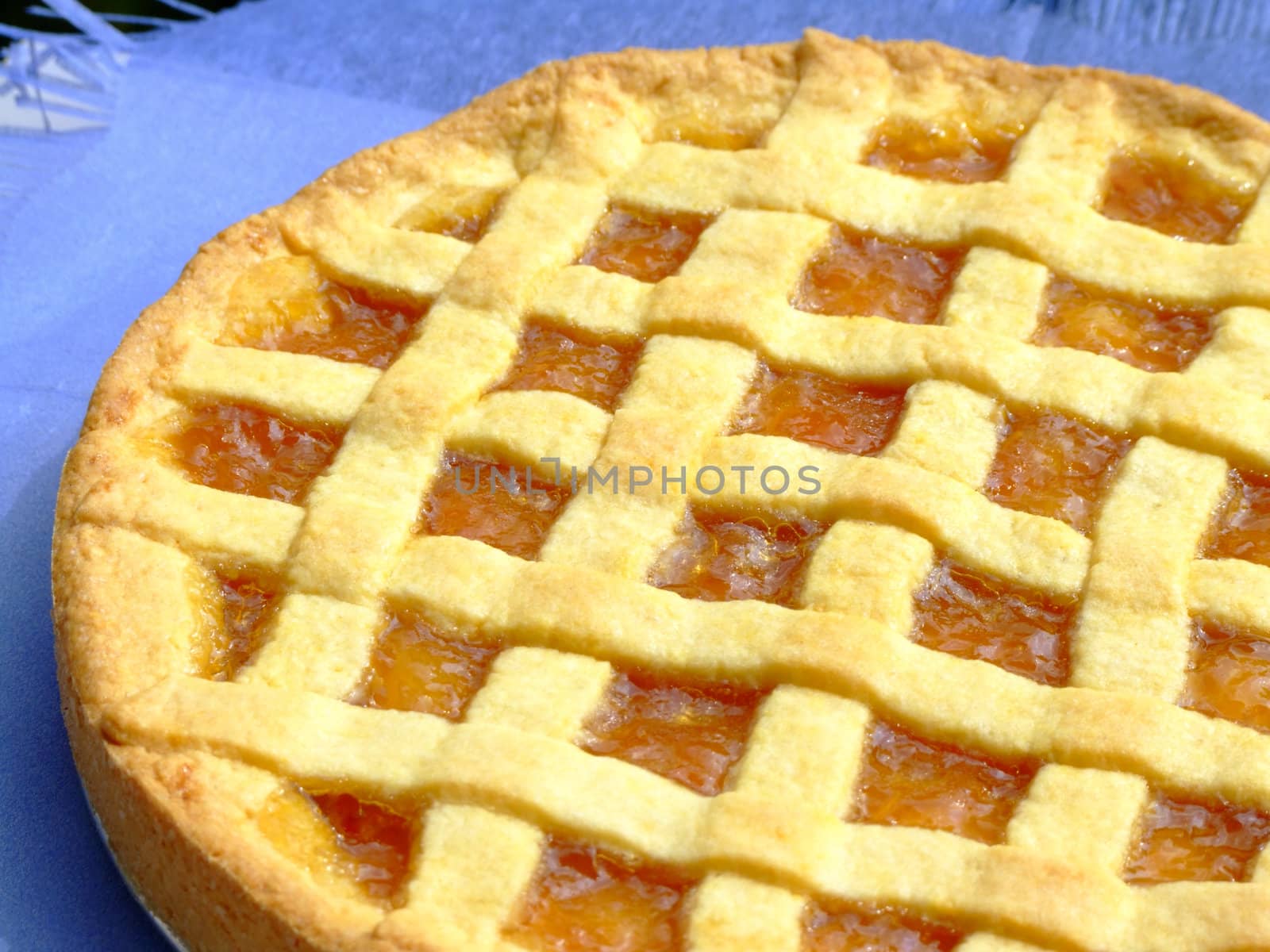 Close-up of a homemade apricot marmalade tart