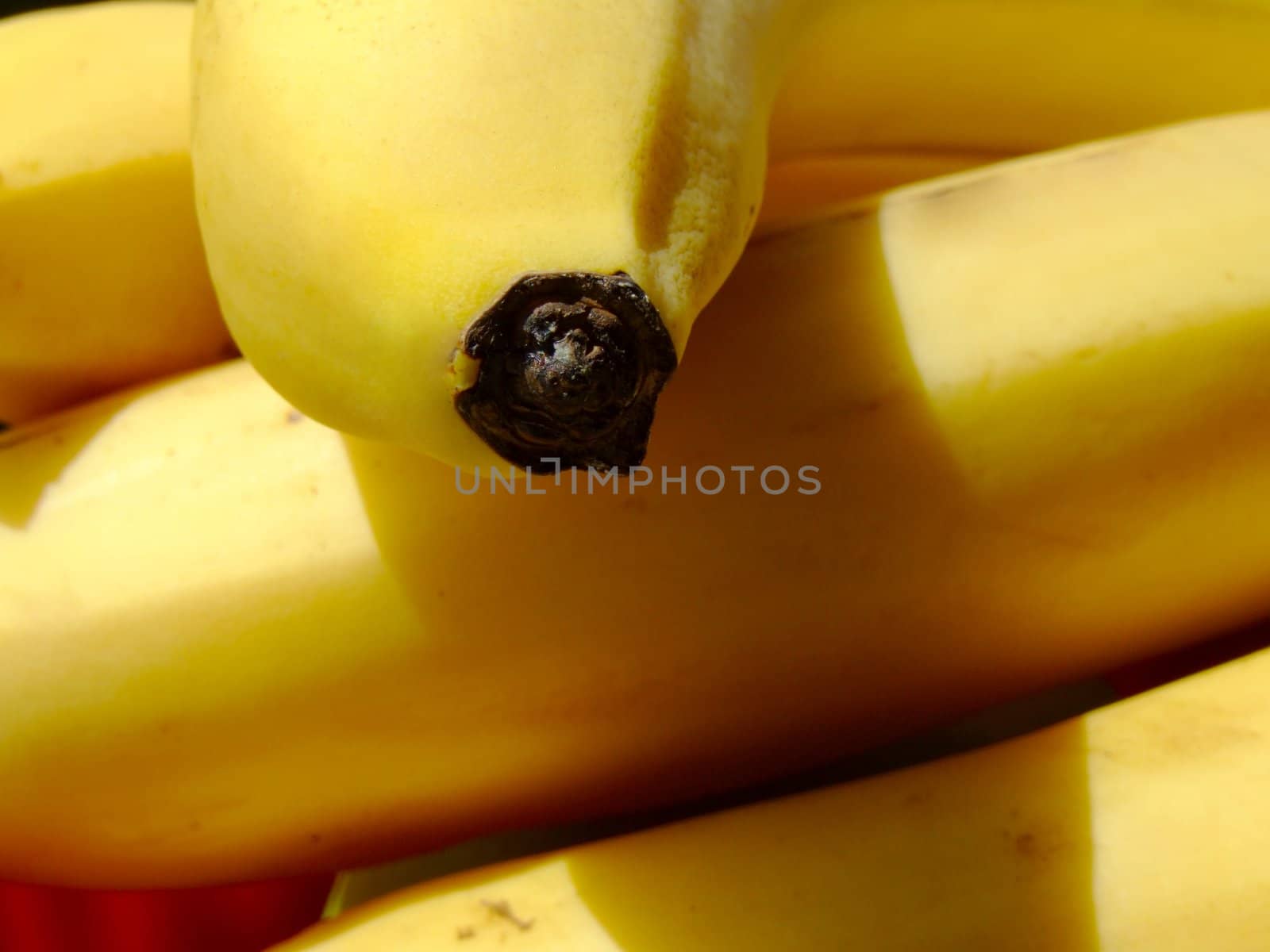 close-up of ripe bananas