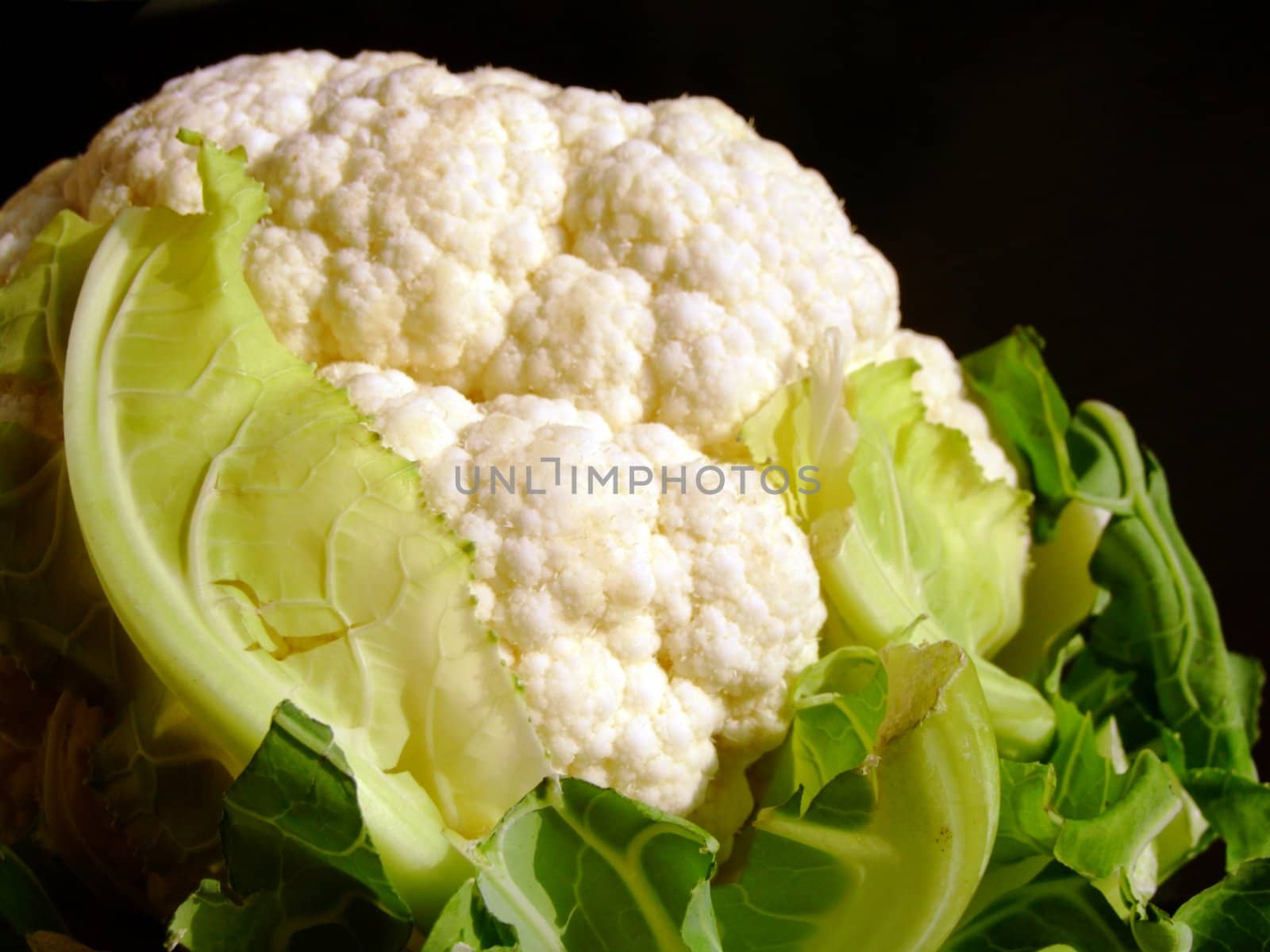 Close-up of a cauliflower on a black background