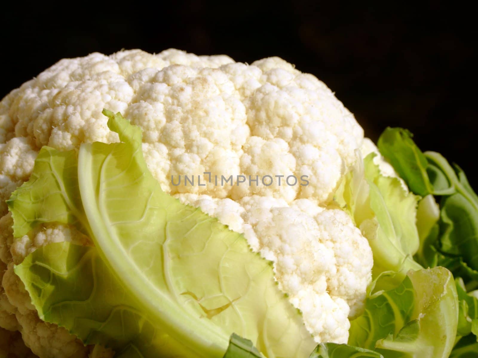 Close-up of a cauliflower on a black background