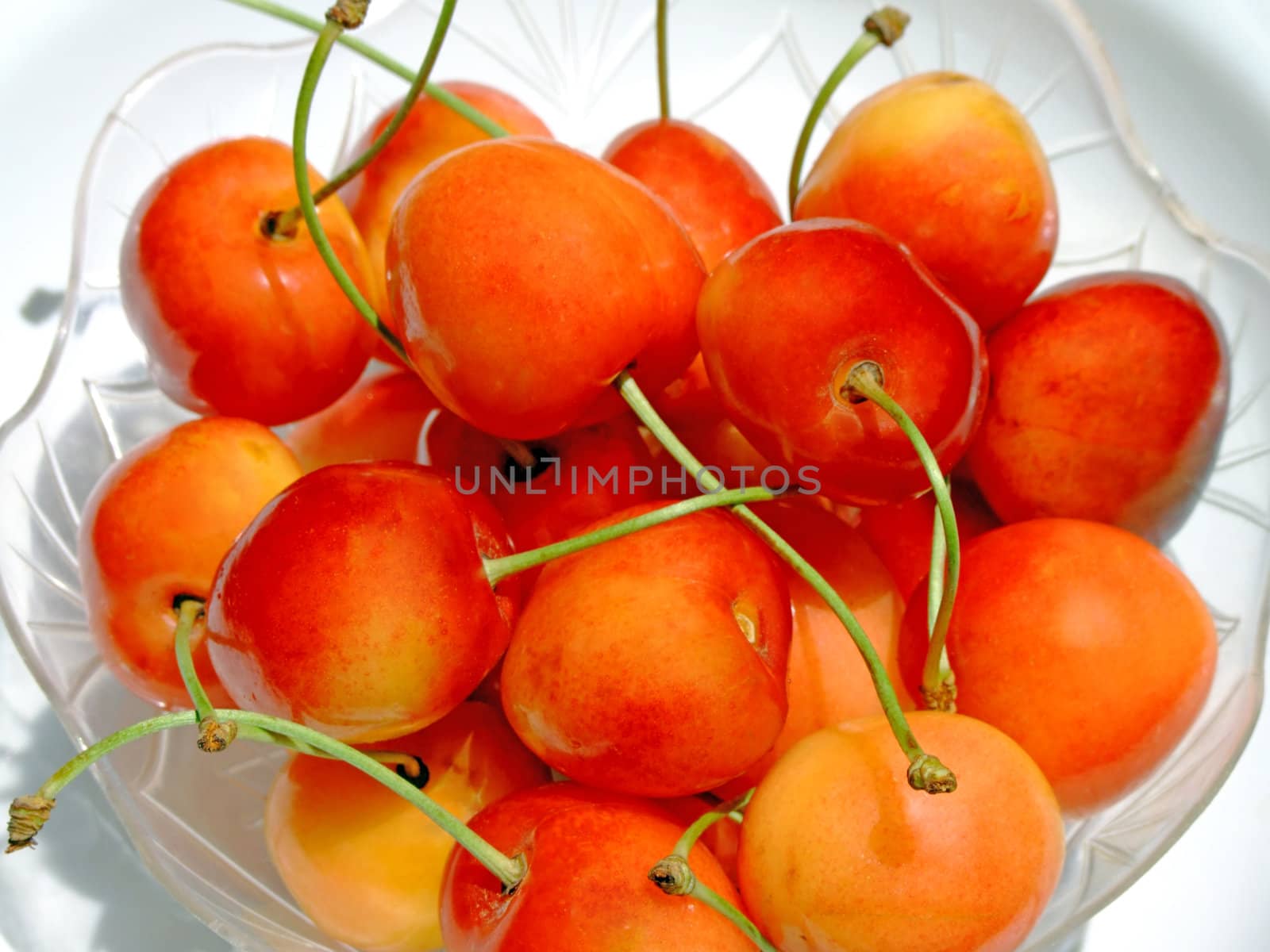 Close-up of some double color cherries
