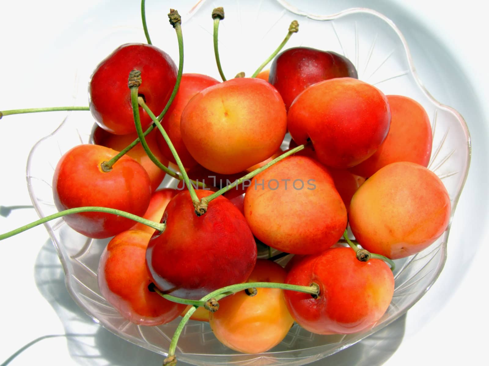close-up of ripe double color cherries