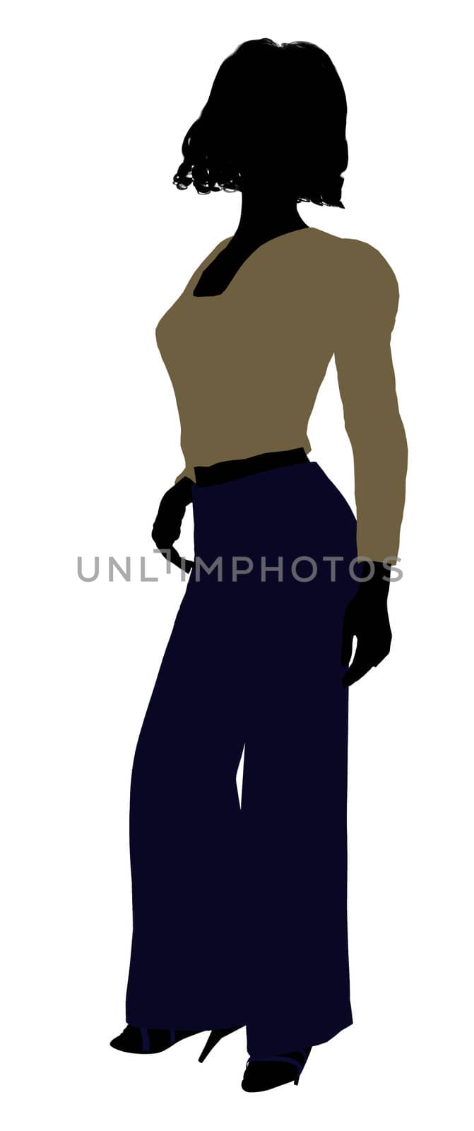 Female business executive silhouette on a white background