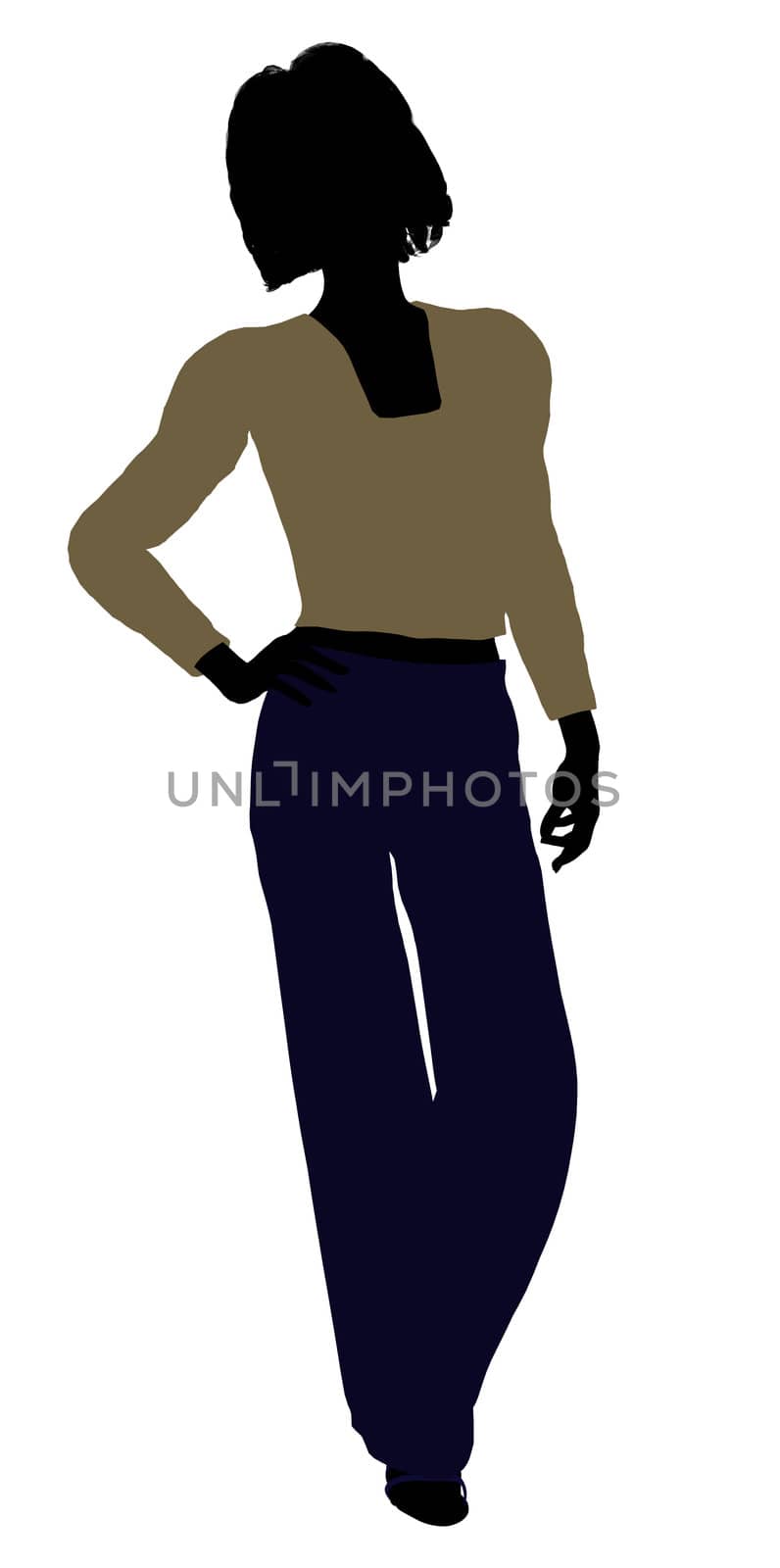 Female business executive silhouette on a white background