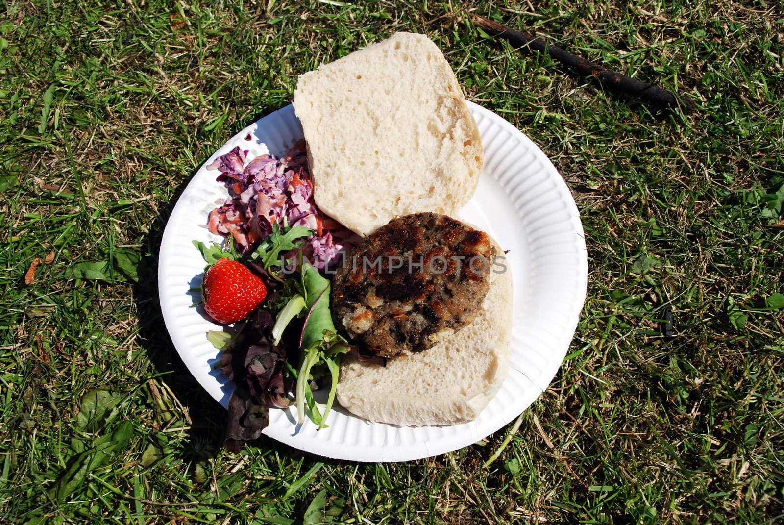 A photograph of a meal typically bought at summer festivals, laid out on grass on a disposable plate.