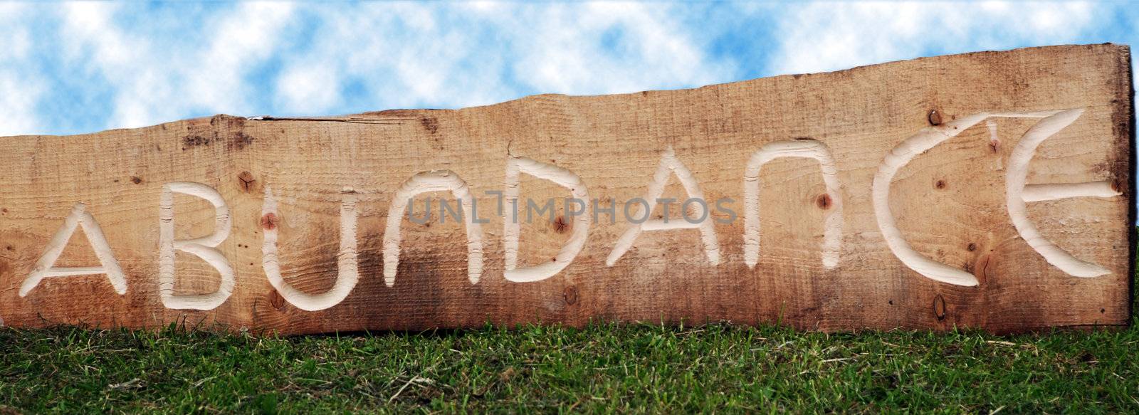 The word abundance carved in a log of wood, outdoors on grass and under a cloudy sky