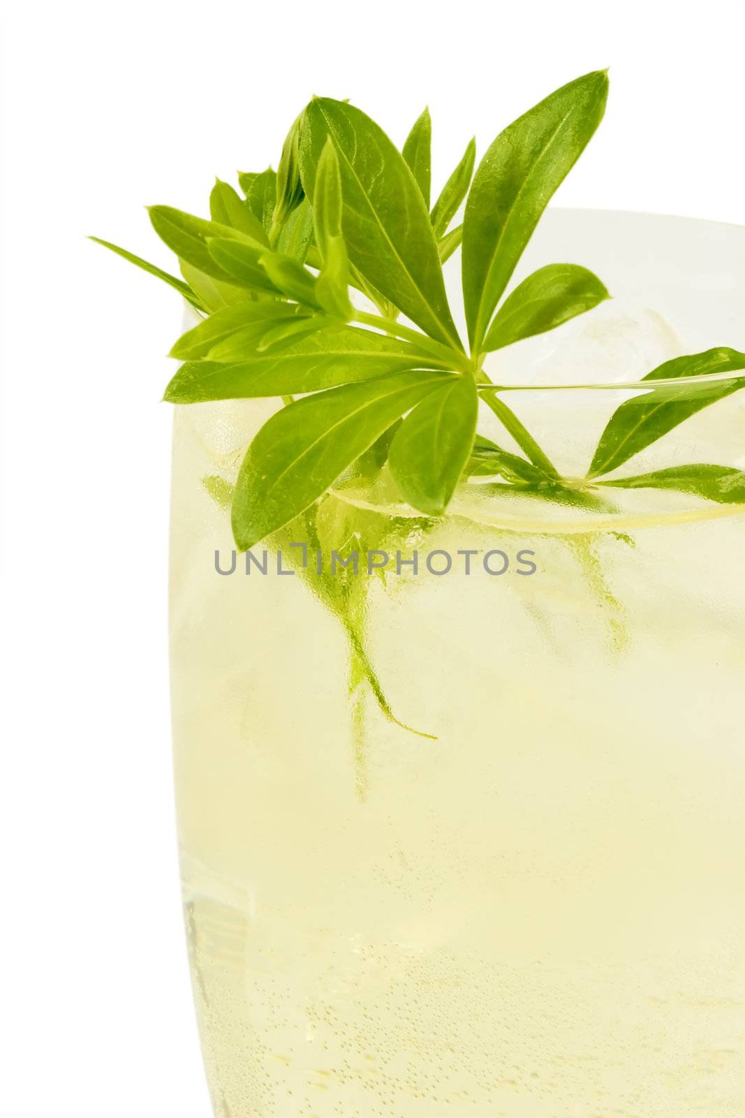 Punch with sweet woodruff herbs on bright background
