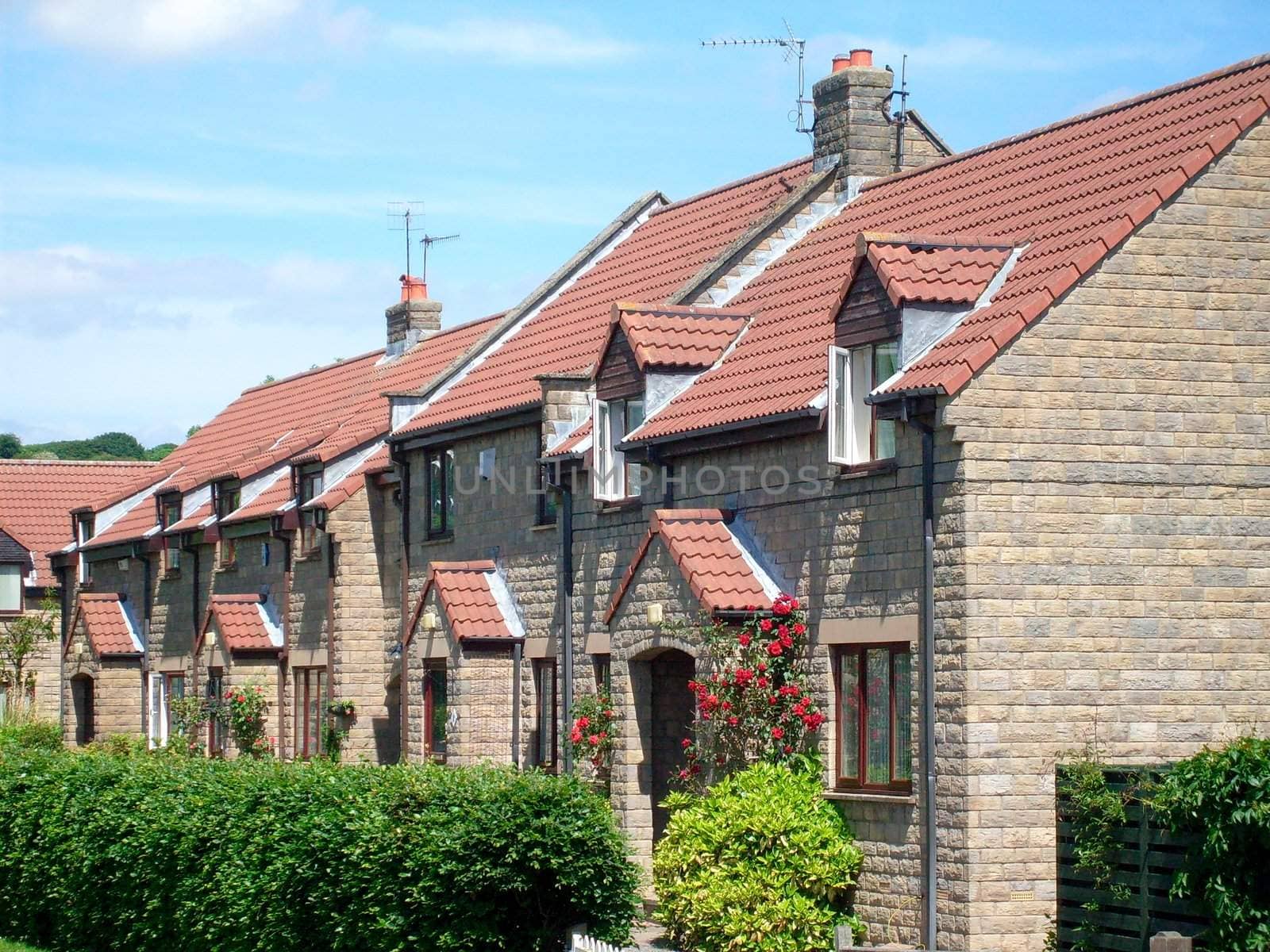 Modern English house end of terrace by village green.