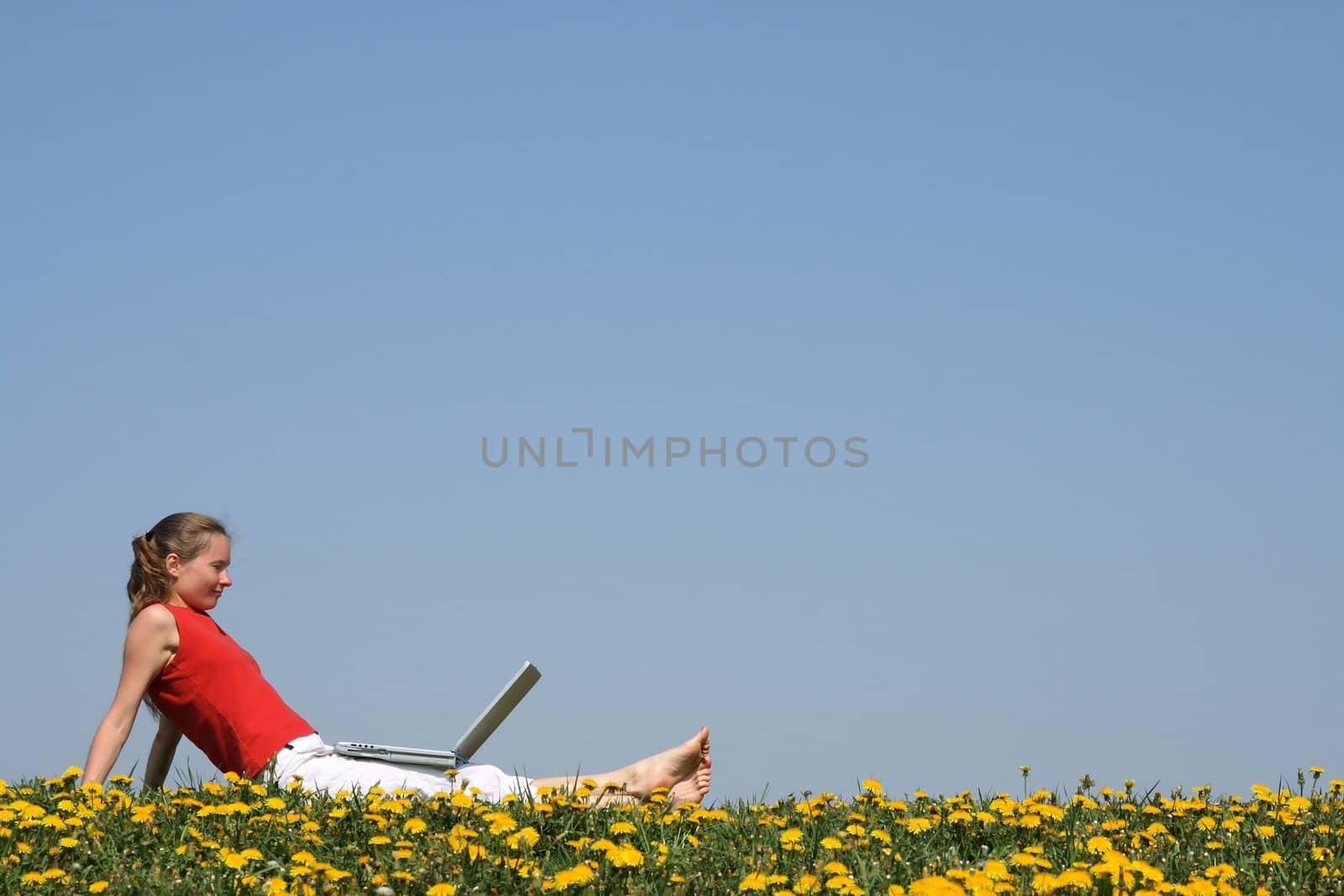 Casual young woman relaxing with laptop outdoors, in a flowering dandelion field.