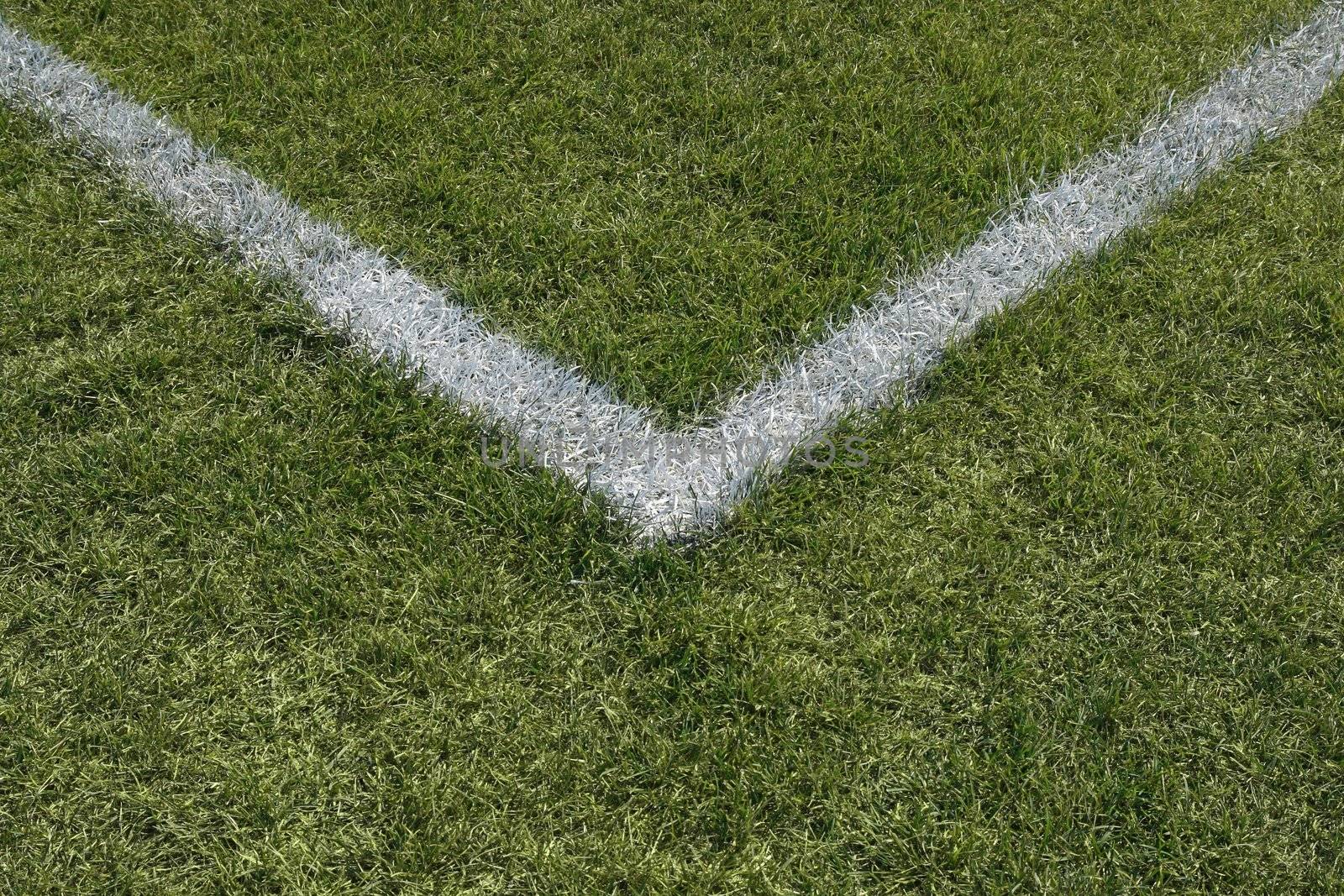 Corner boundary lines of a green grass sports field.