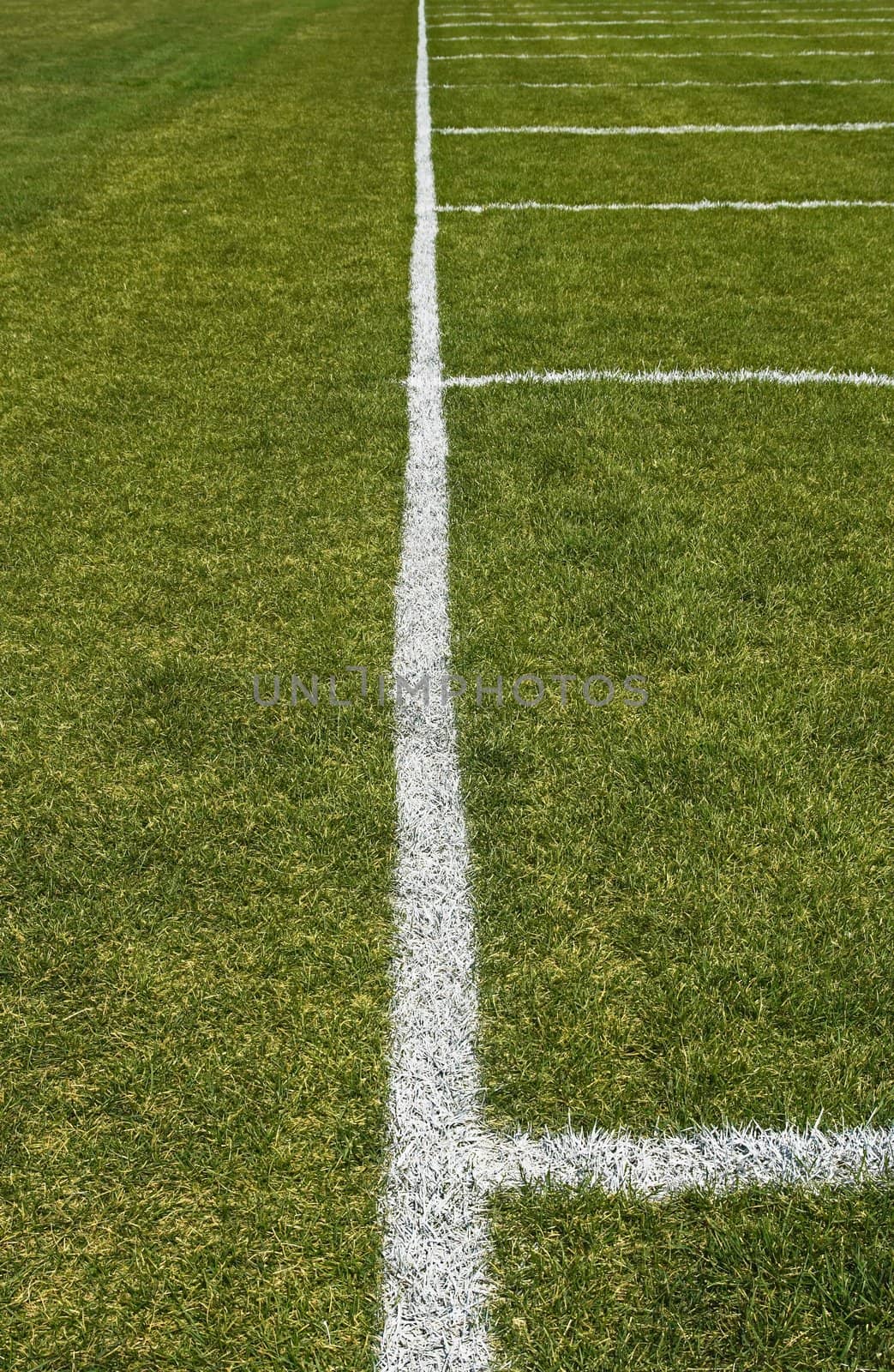 Side boundary line of a green football field.