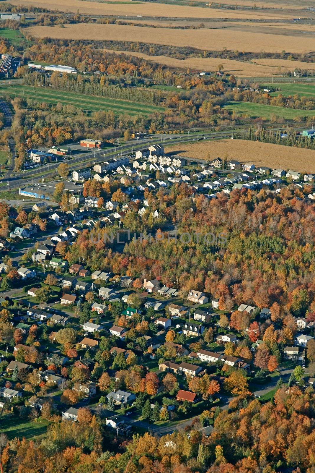 Aerial view of houses and fields in bright colors of autumn.