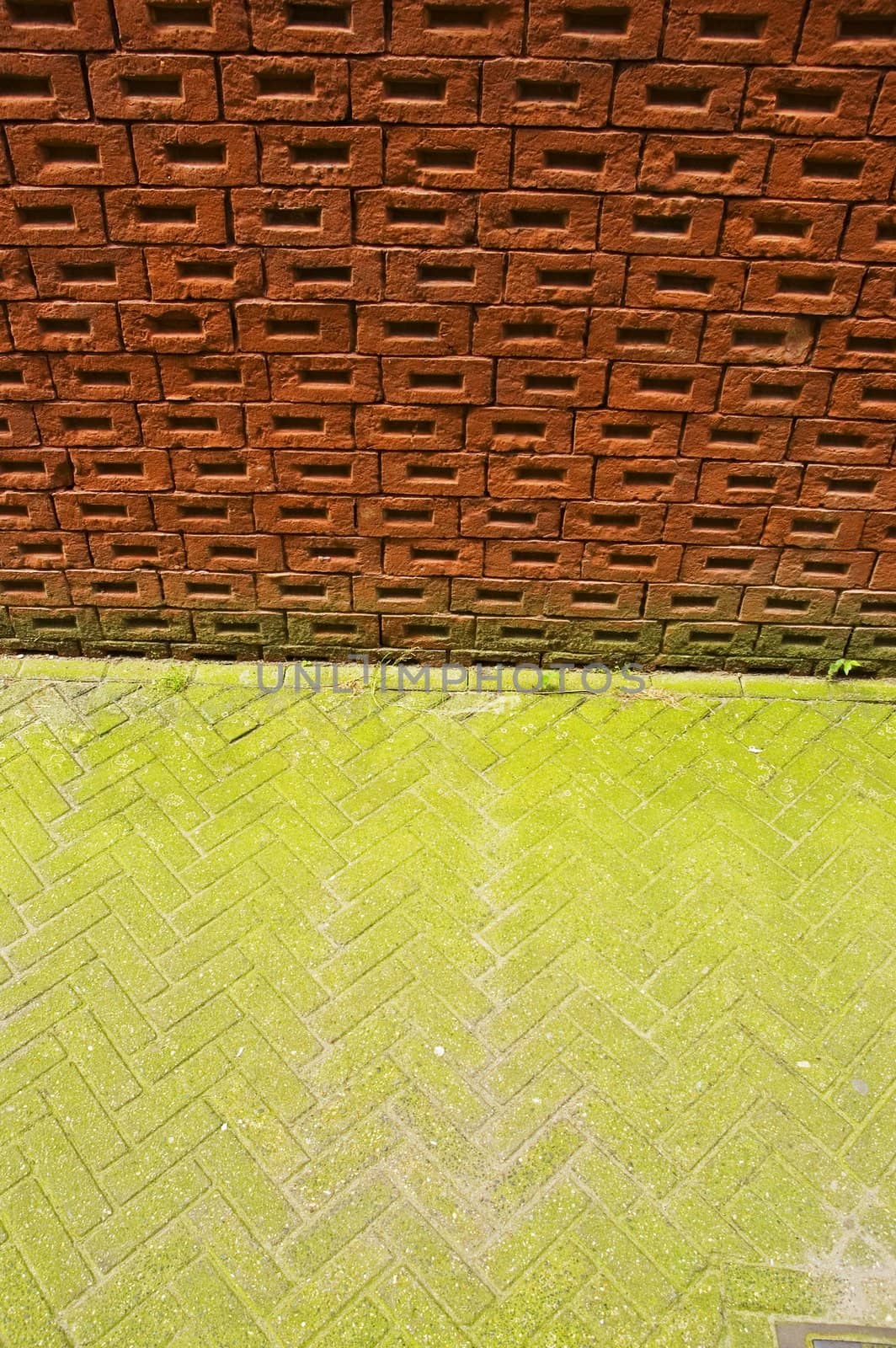 Brick wall and green pavement. Amsterdam.
