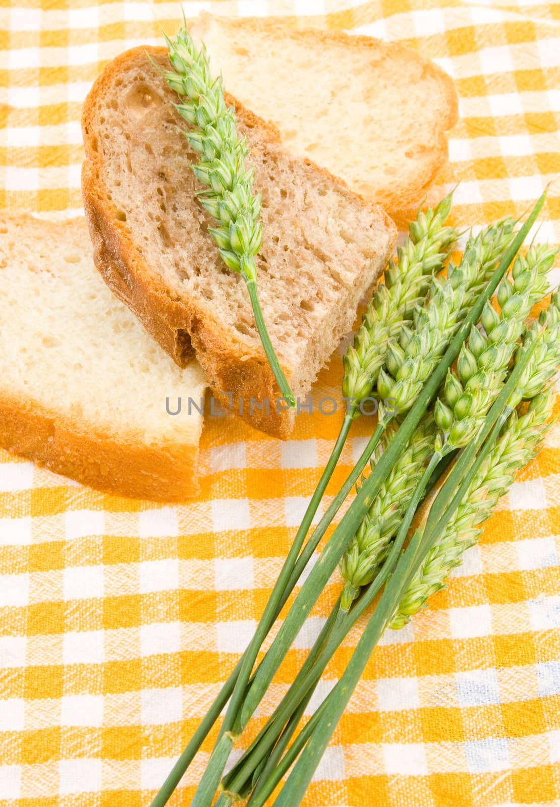 Bread and green wheat on table cover.