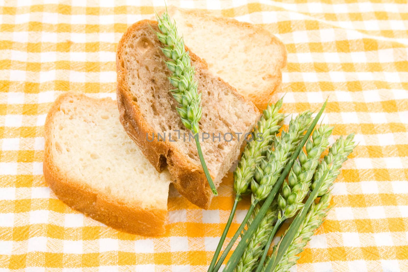 Bread and green wheat on table cover.