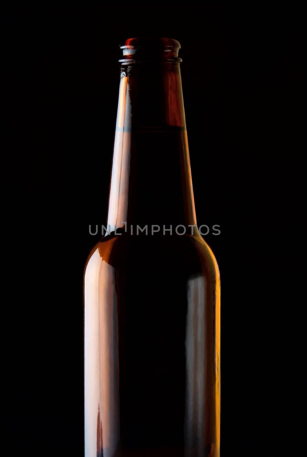 Bottles of beer by anki21