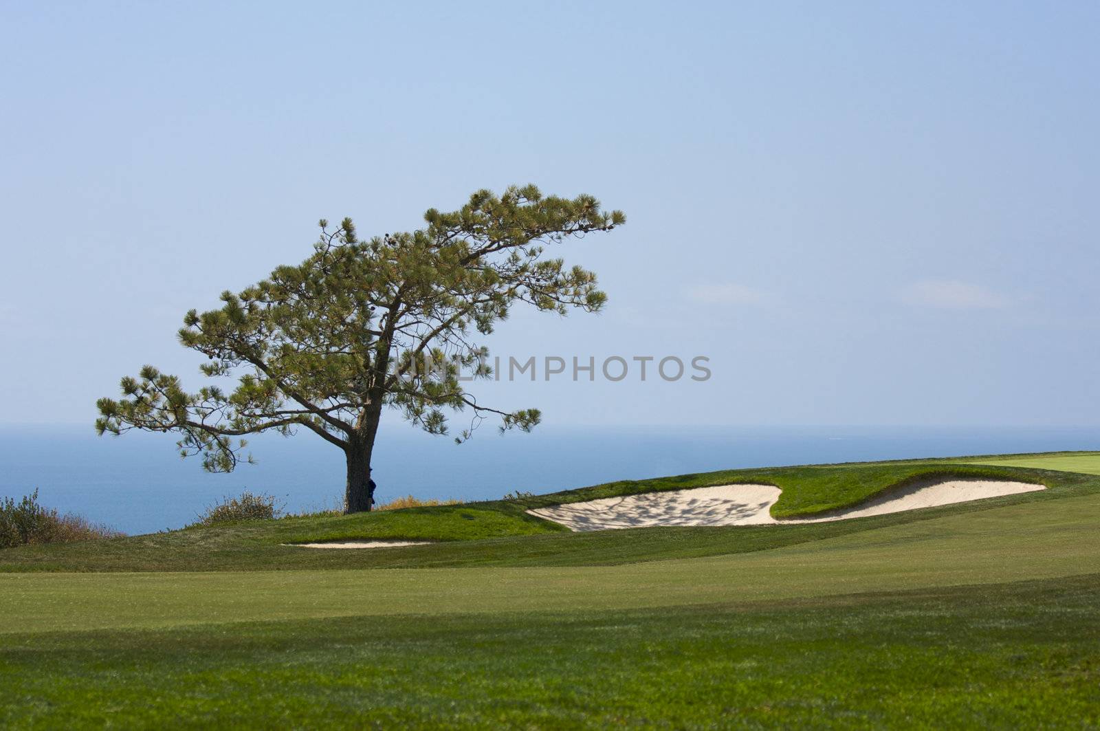 View from Torrey Pines Golf Course in San Diego California