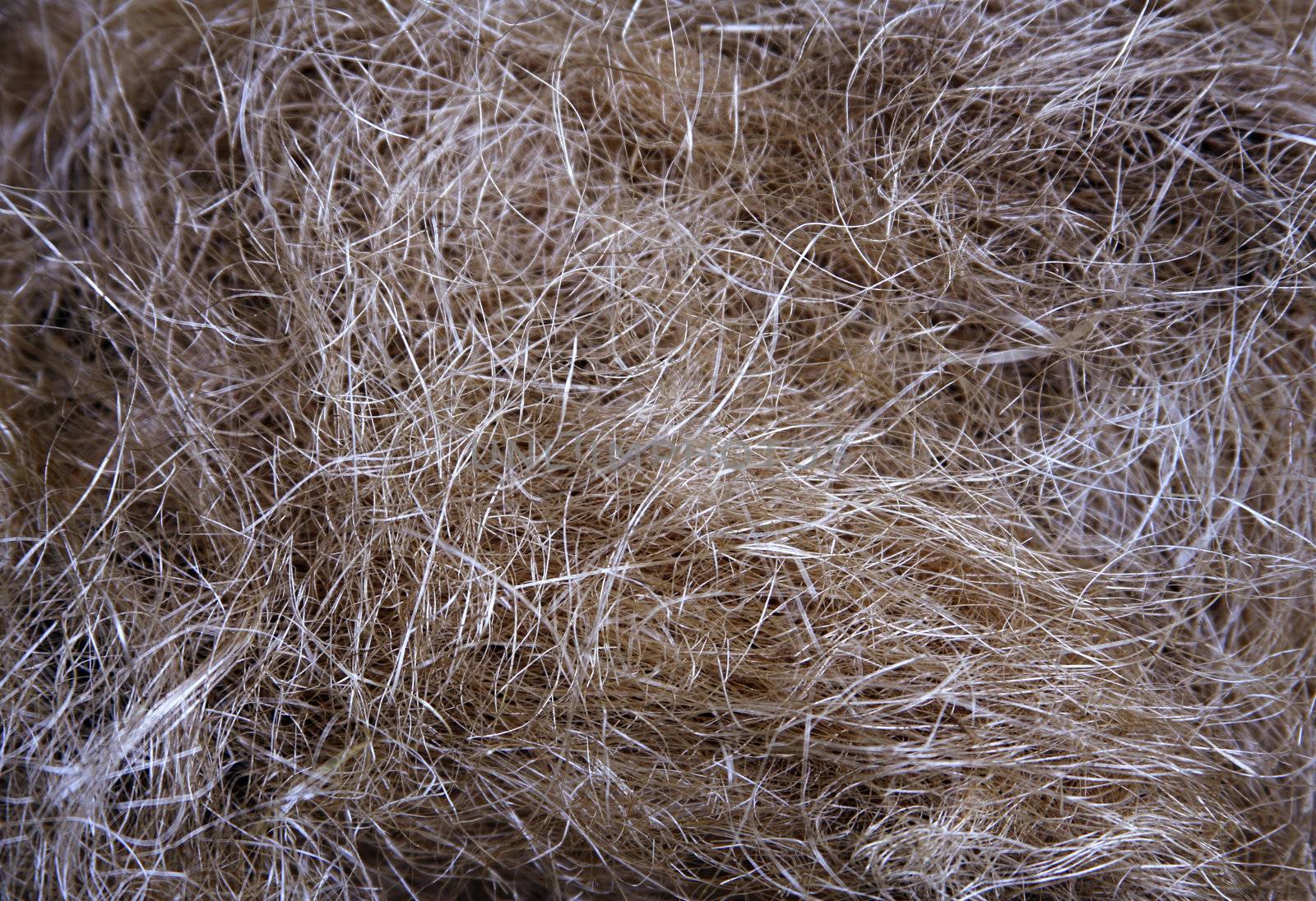 Close up of hay to be used as a background