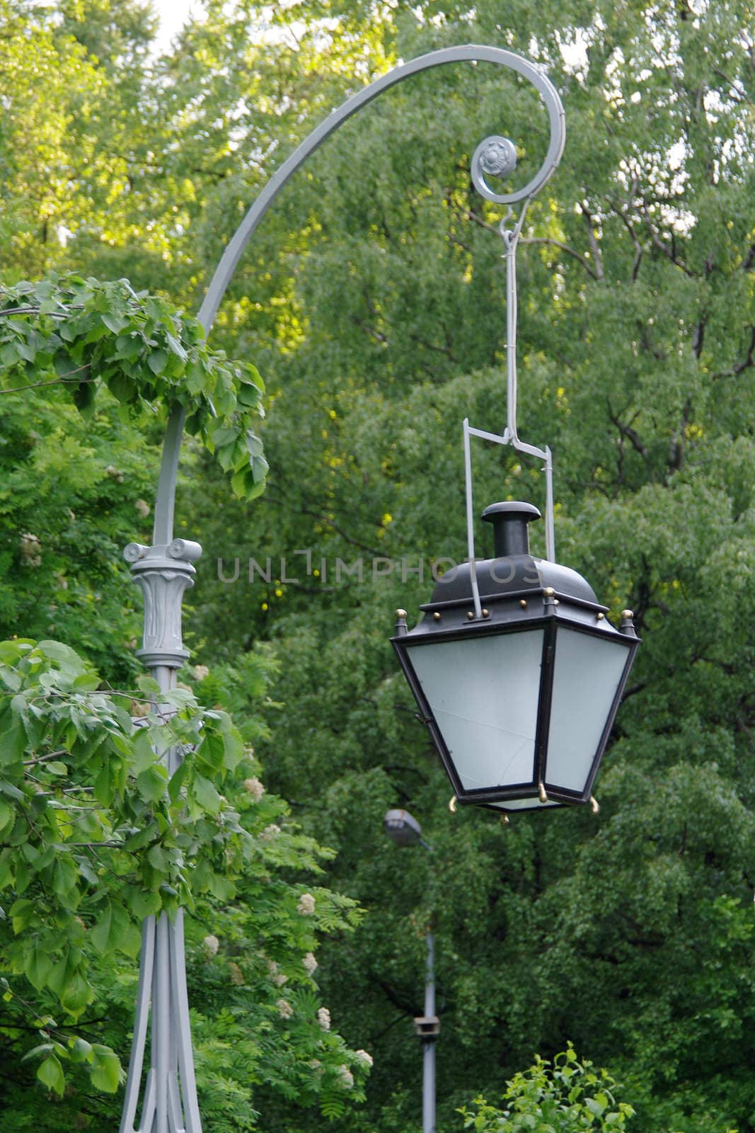 Street-lamp in front of the trees in the park on a sunny day