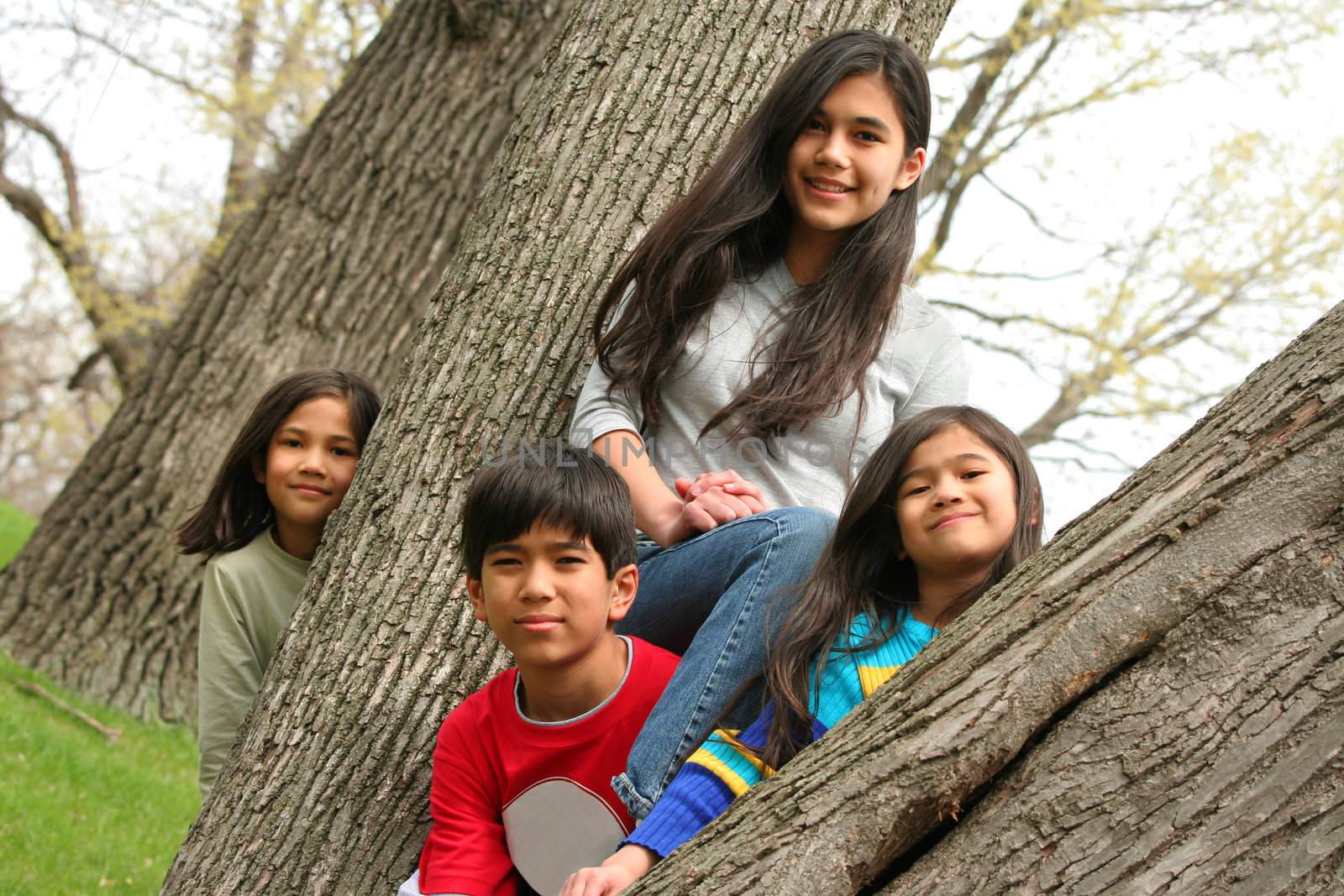 Four children in a tree by jarenwicklund
