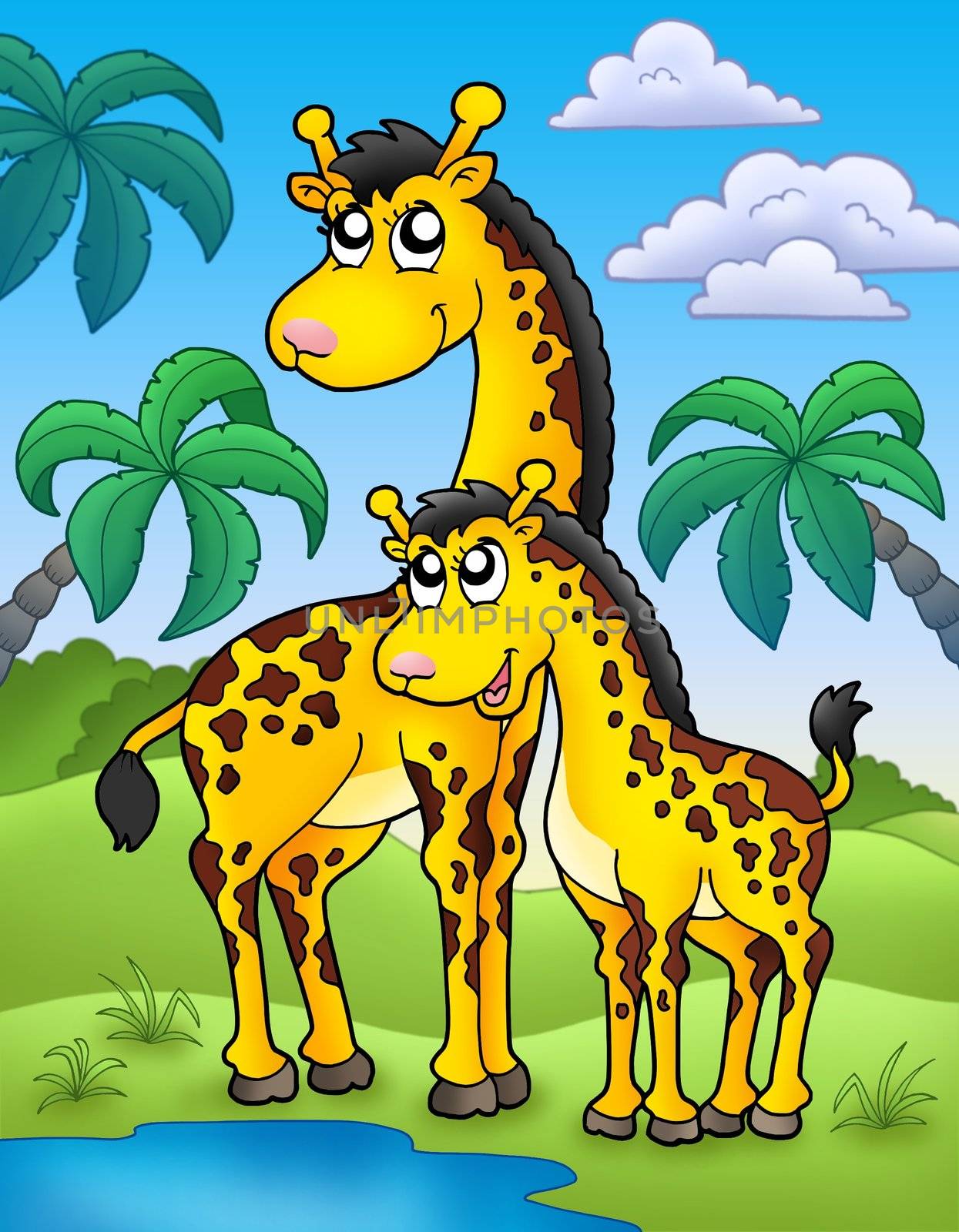 African landscape with giraffes - color illustration.