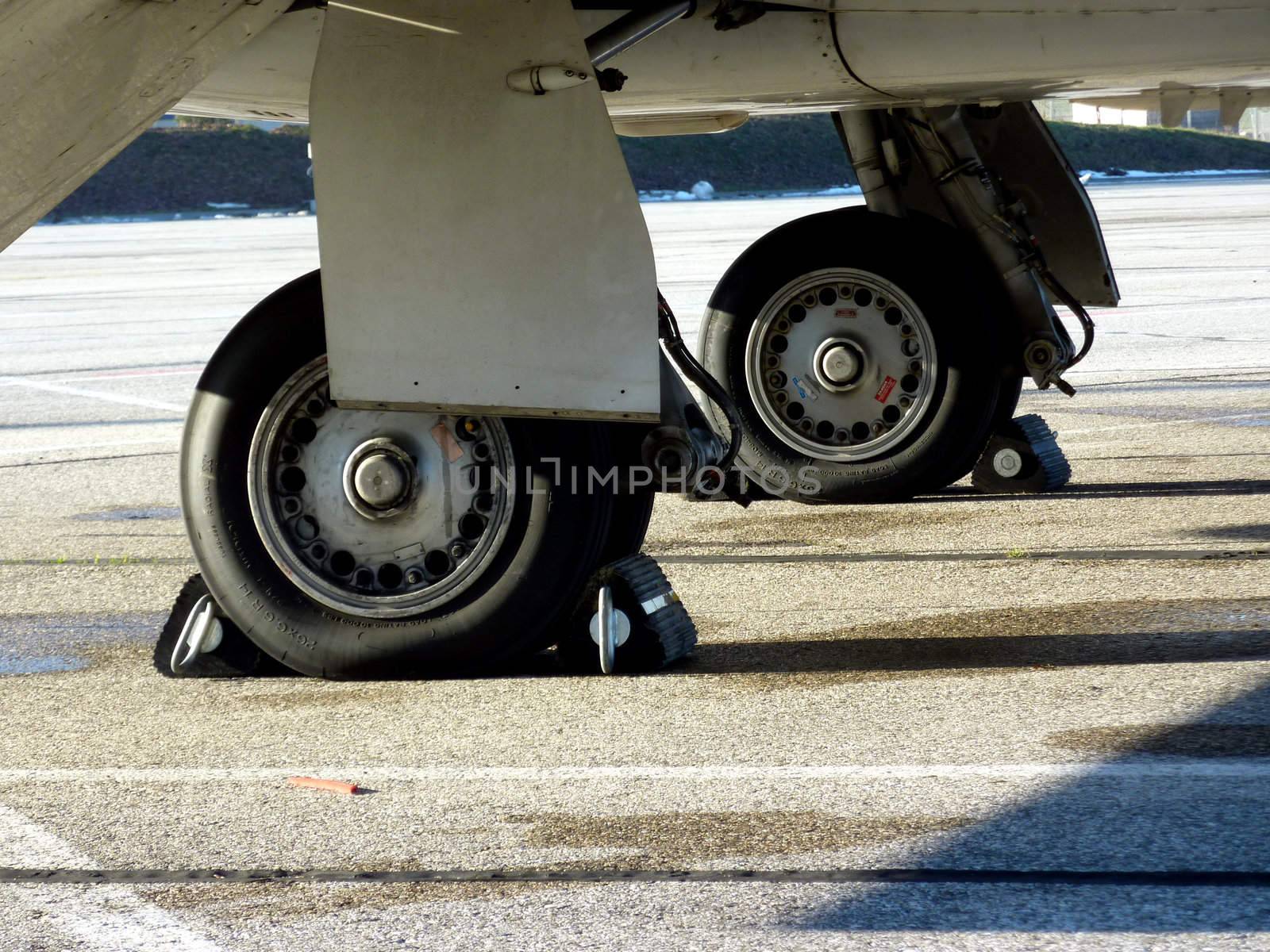 Two wheels of a small airplane on the ground