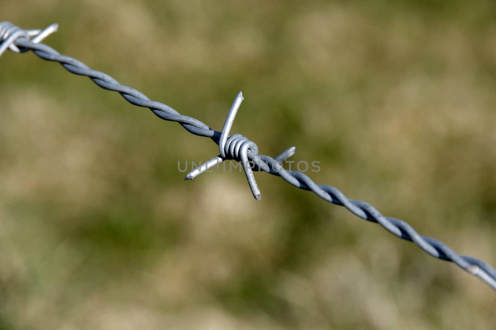 Detail of barbed wire with a green background