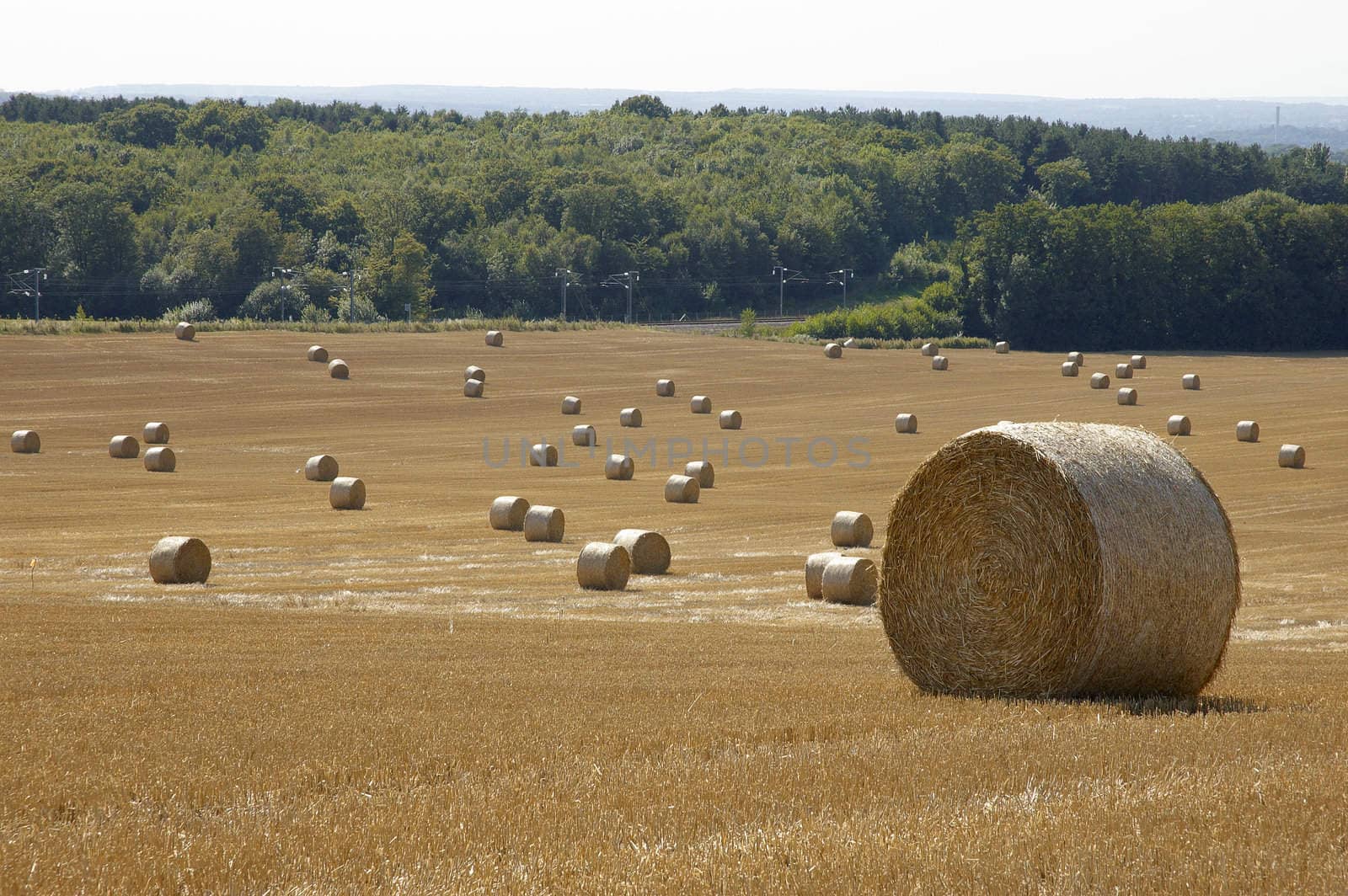 summer landscape with hay bales and deep blue skyscape