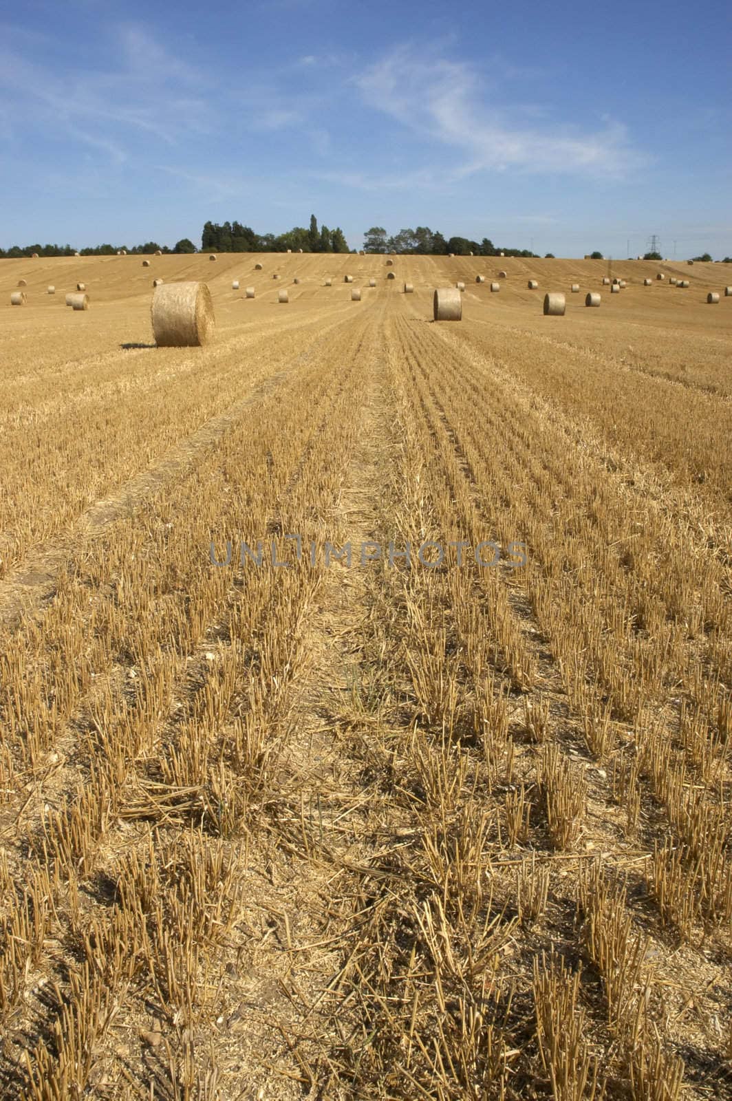 summer landscape with hay bales and deep blue skyscape