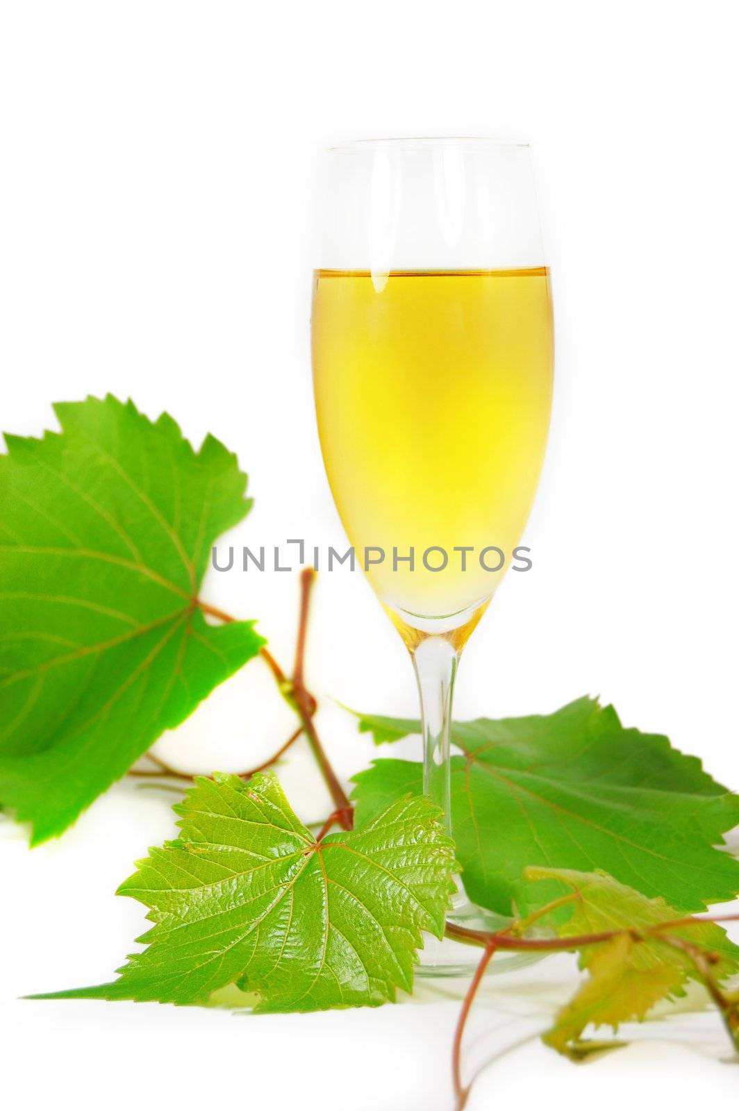 Glass of muscat by Angel_a