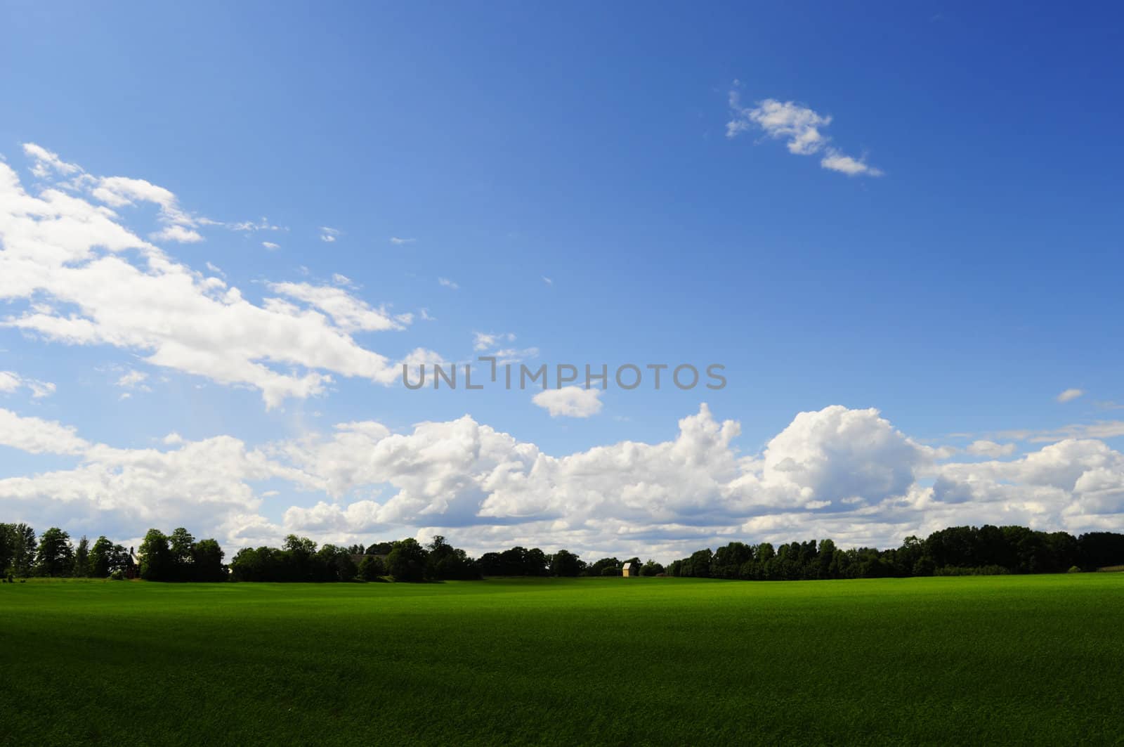 Green field with special light and blue sky