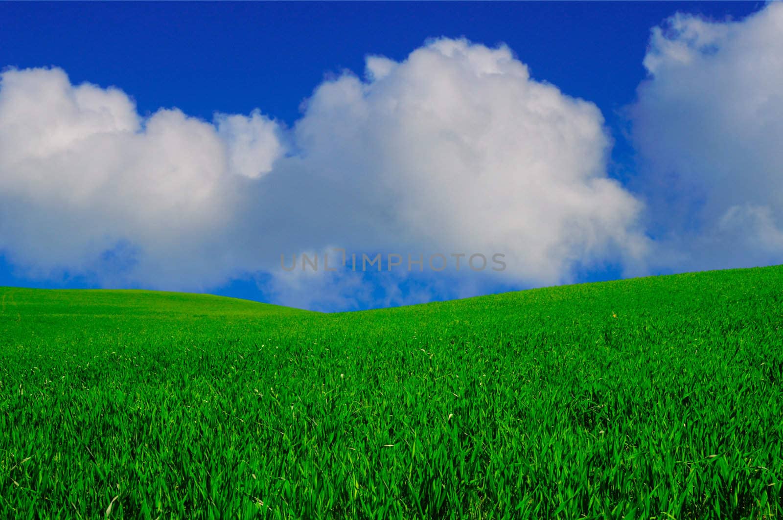 paradise landscape with clear blue sky and white clouds