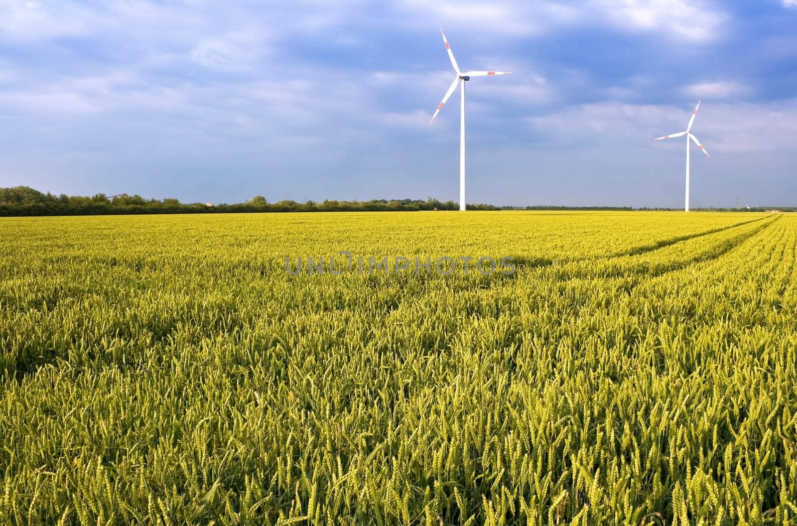 Pure energy - windmills in a wheat field