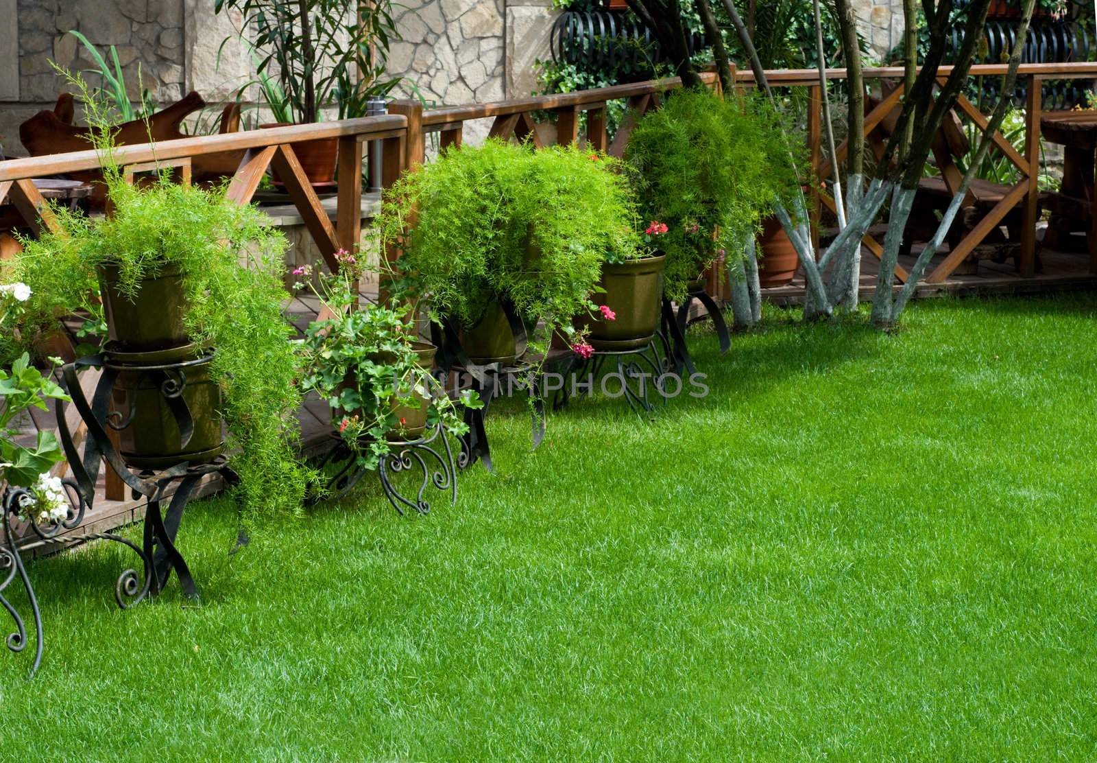 open air cafe with lots of green plants by starush