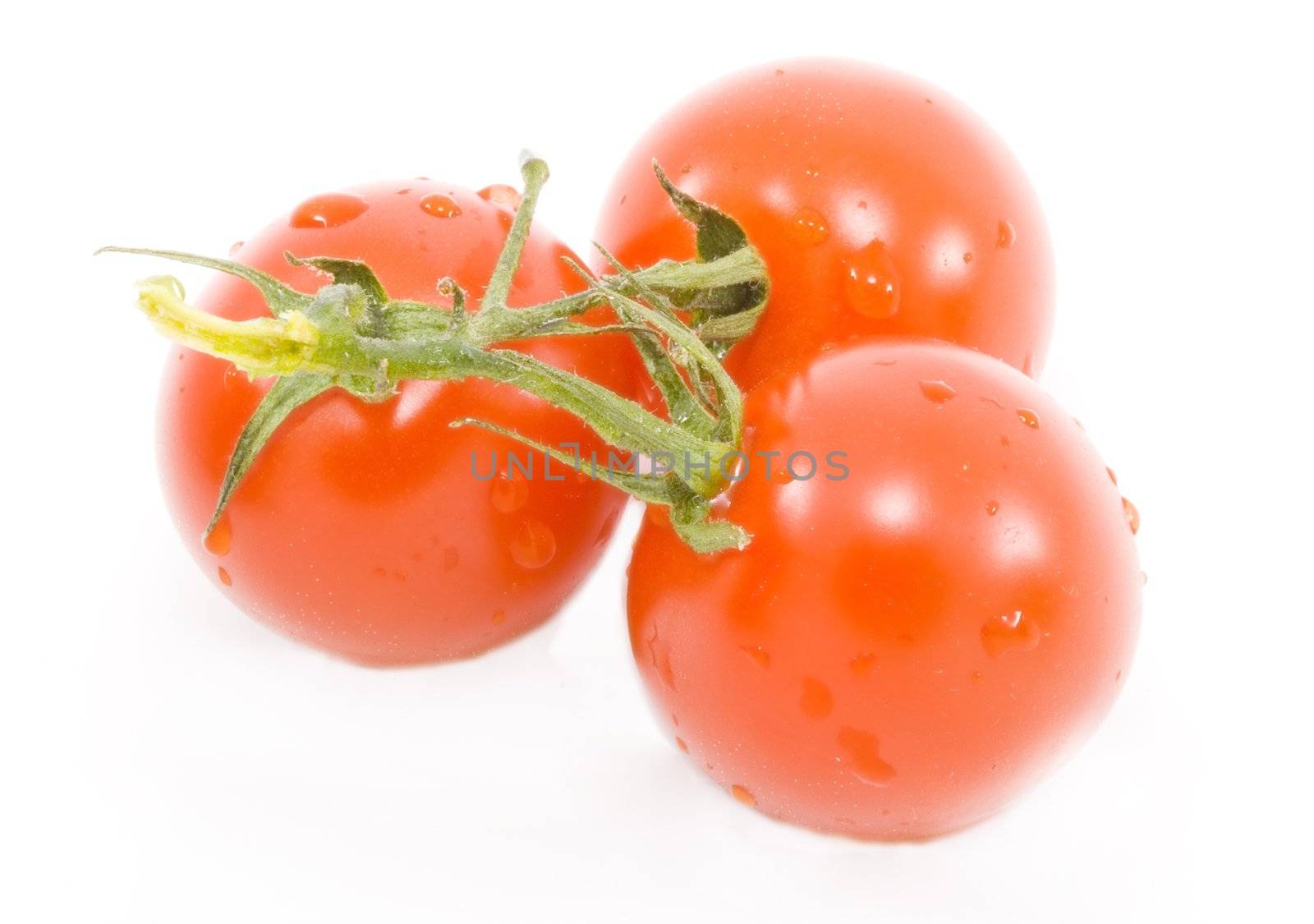 Tomatos by werg