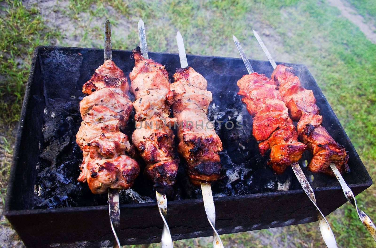 Grilled meat prepeared in marinade is Shish Kabob, kebob or kebap.