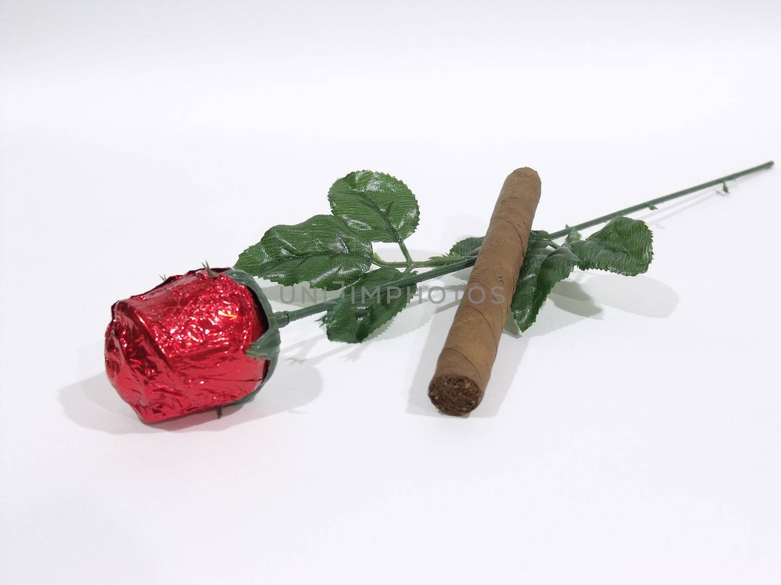 Unlighted cigar lying on a artificial red rose on a white surface