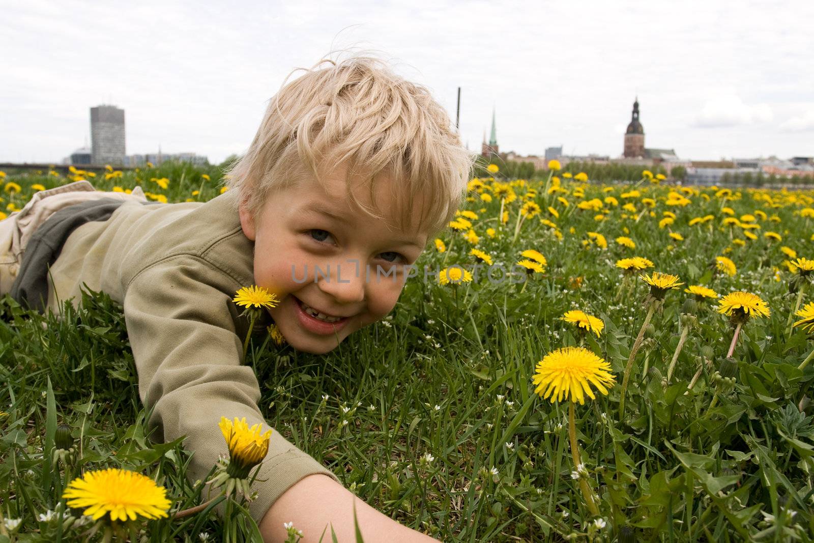 Preschool boy playing in meadow full of yellow dandelions. Riga old city in background