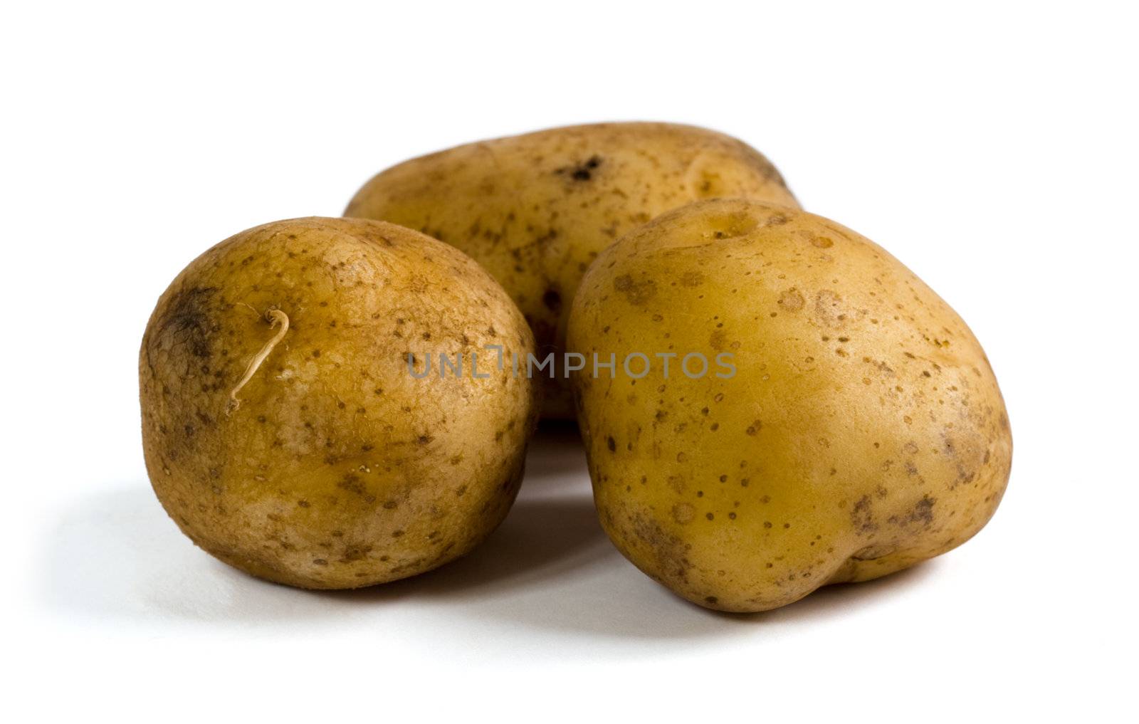 Three raw potatoes on white background by ints