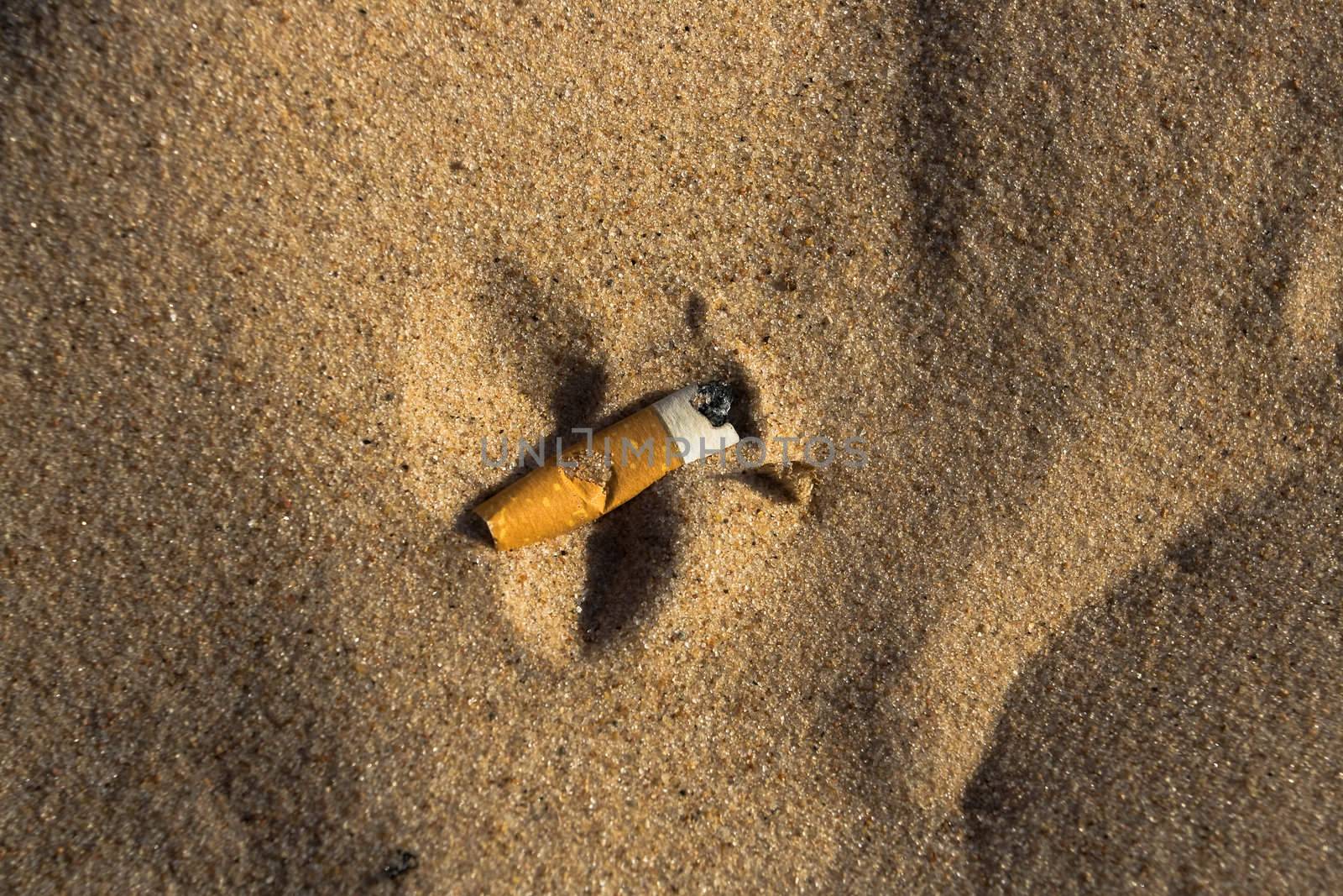 Cigarette butt in sand. Litter on the beach