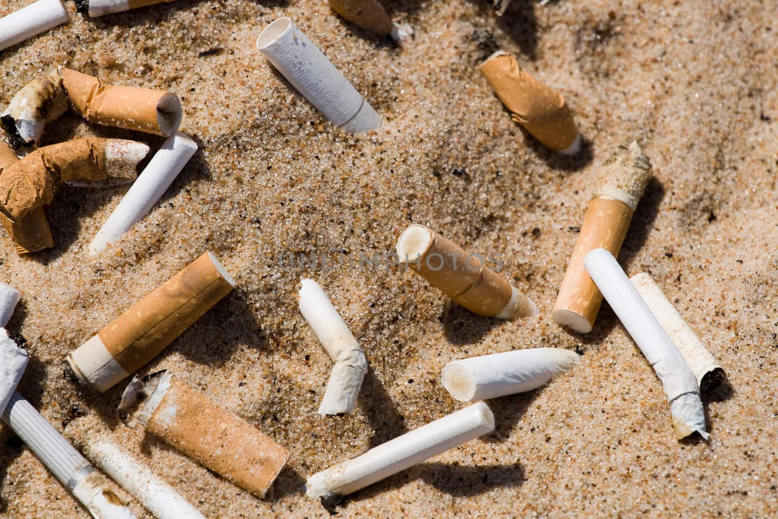 Cigarette butt in sand. Litter on the beach