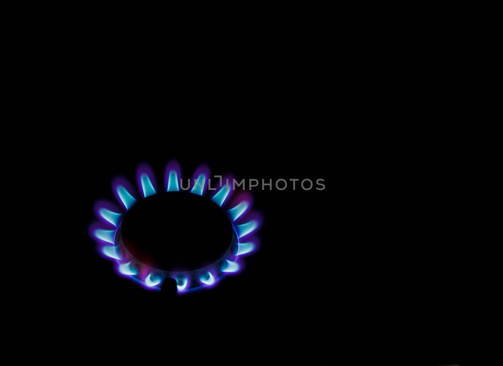 Burning ring flames of gas stove on black background.