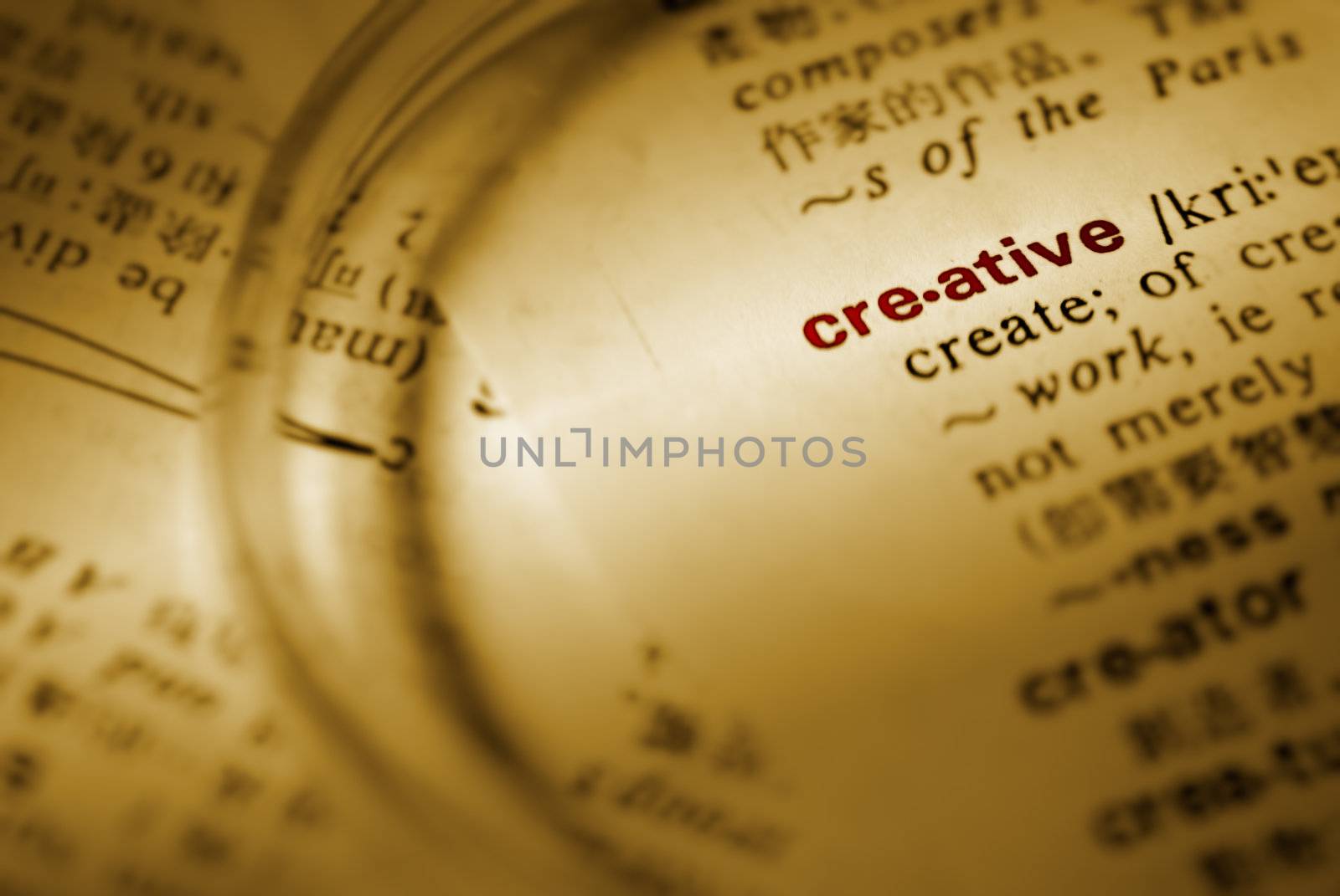 Focus on creative with magnifier on book.