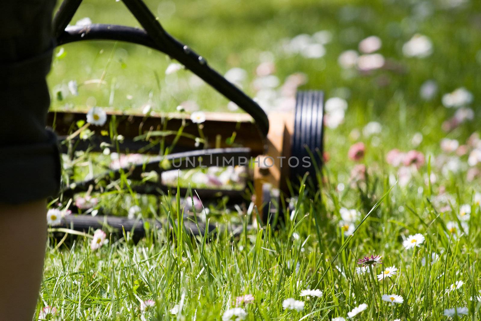 Hand lawn mower by ints