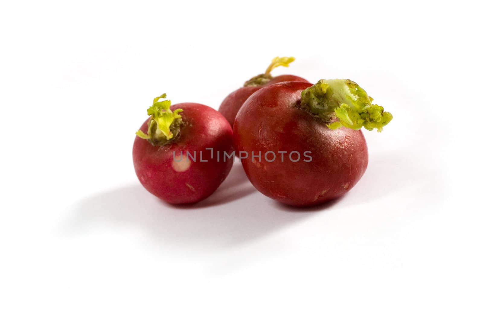 Three radish isolated on a white background with shadow. Clipping path included.