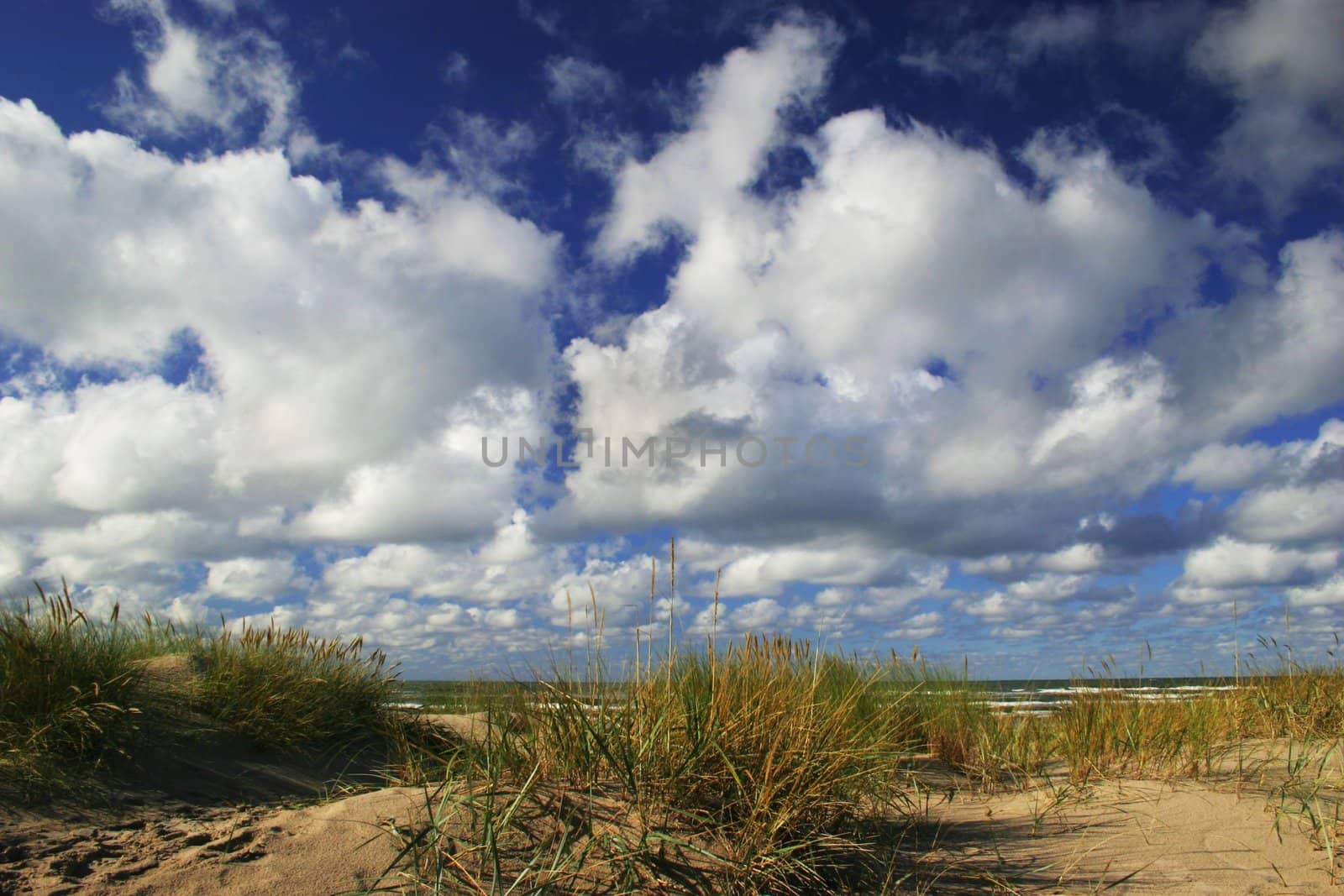 Dunes with green grass. Blue sky with white clouds