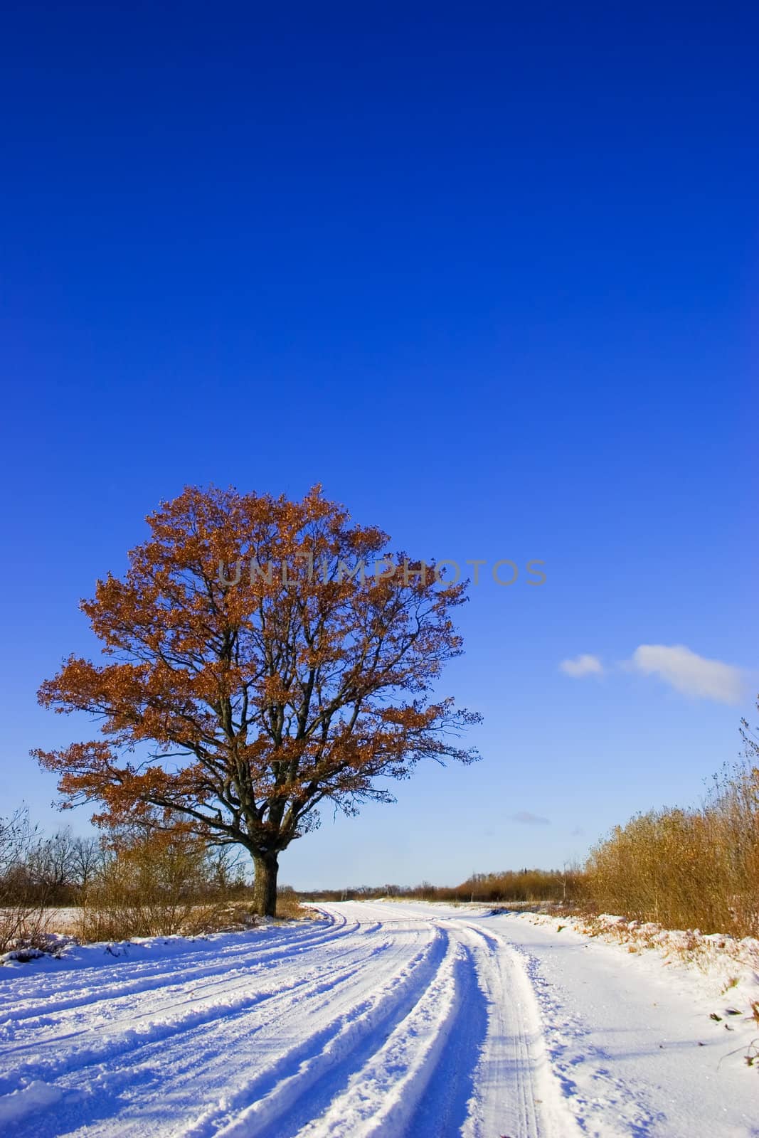 Winter country road by ints