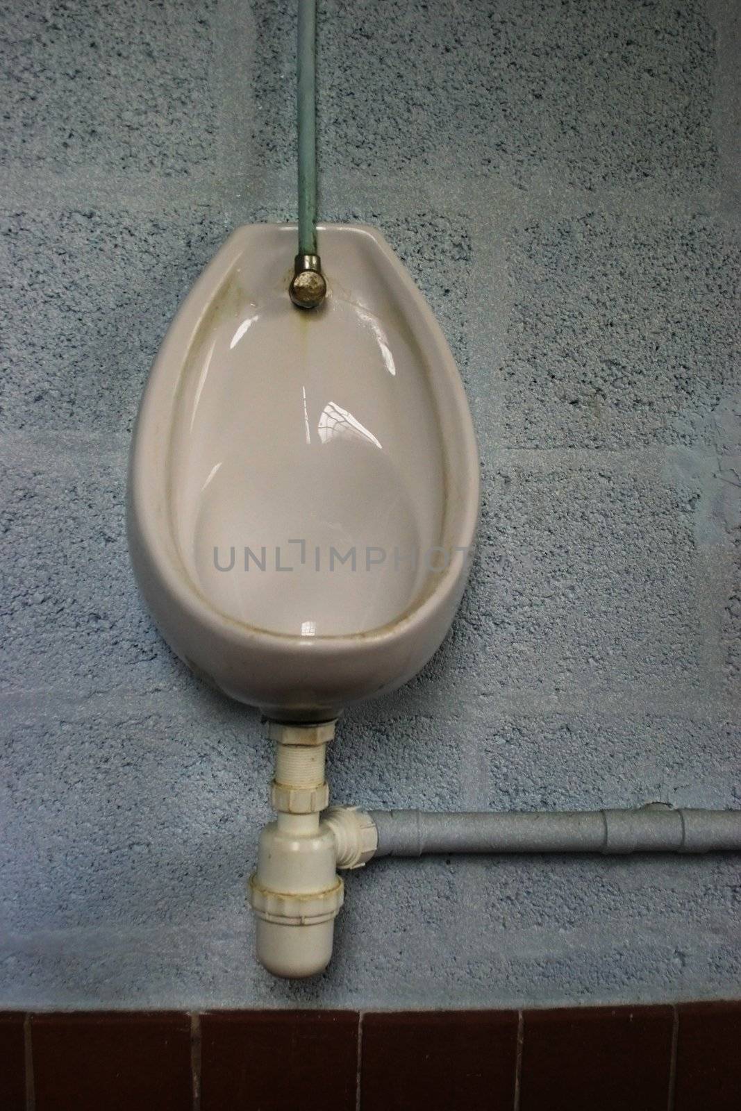 Porcelain urinal on blue wall in men restroom